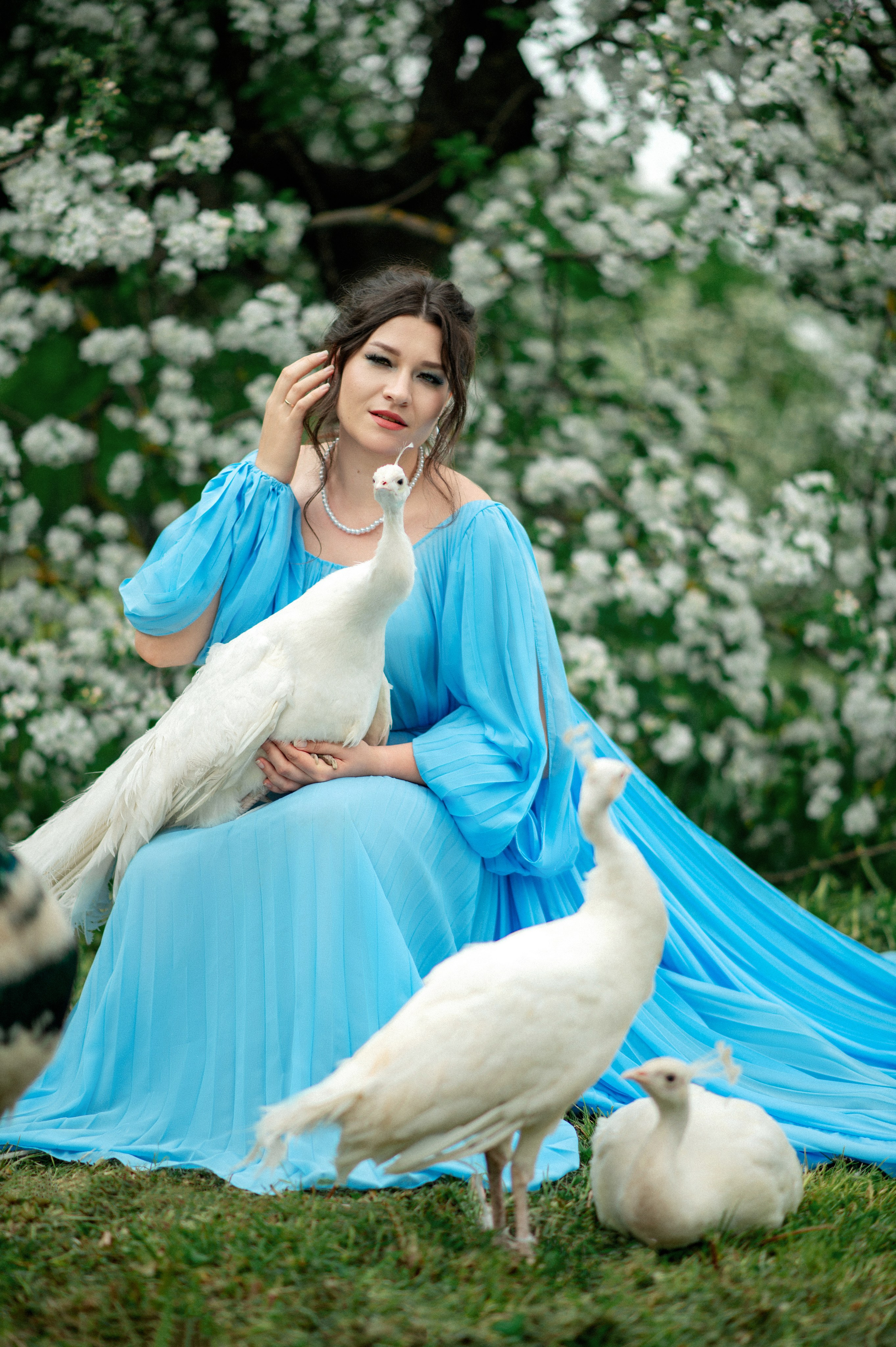 Алена. Съемка с павлинами. Фотограф в Санкт-Петербурге Ковалева Елизавета