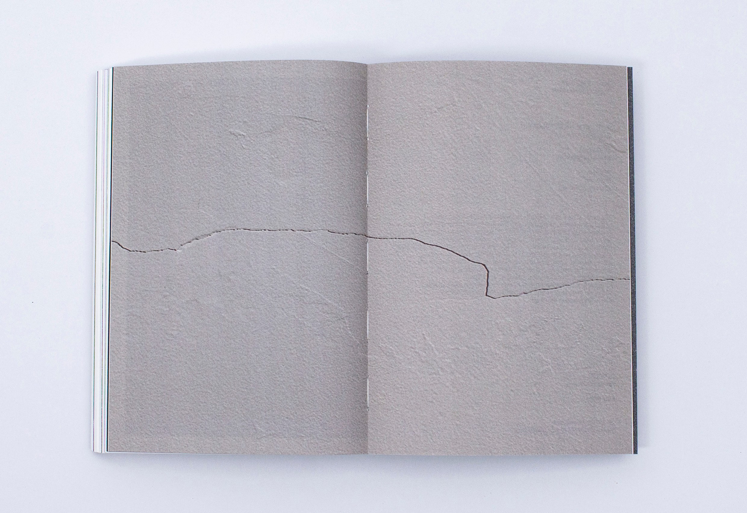 Книга. Фотограф в Москве Алейникова Евгения