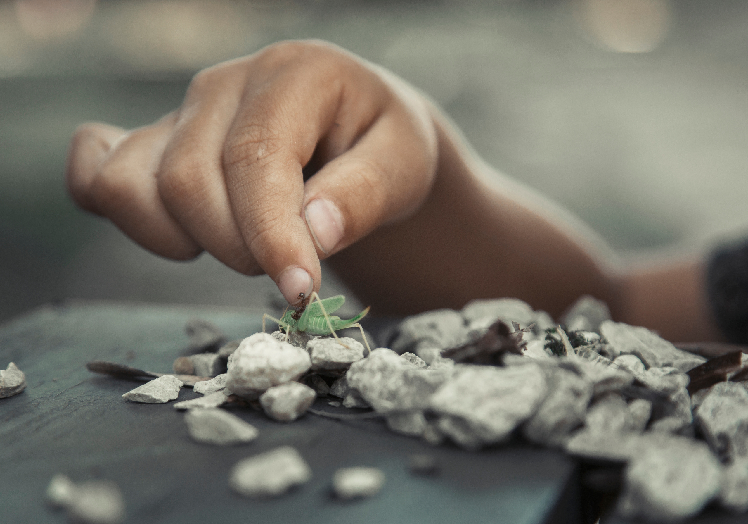 Дети. LENA GRACE photographer ||ЛЕНА ГРЭЙС фотограф