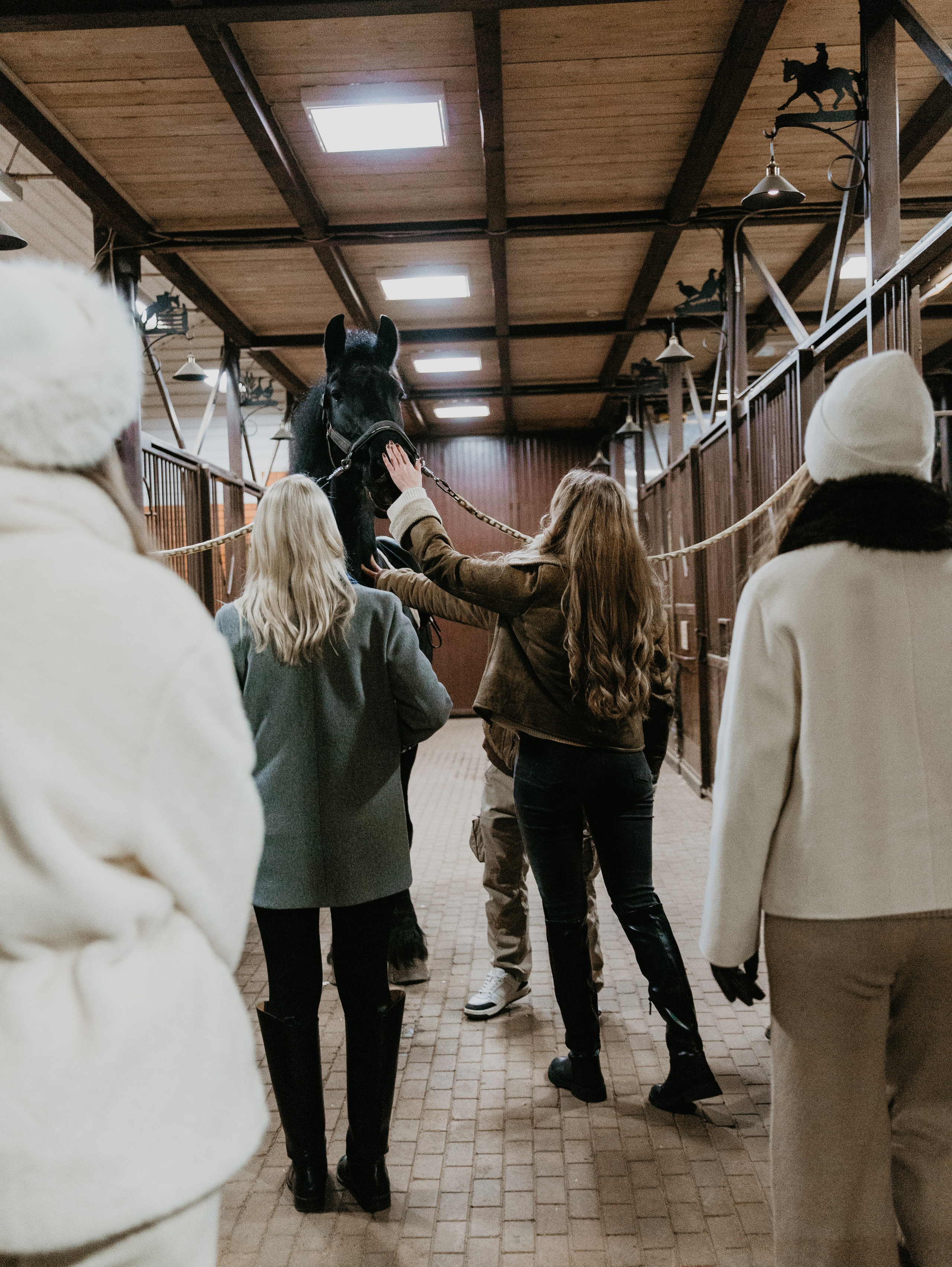 Ферма «Few Horses». Фотограф | портрет | бренды | репортаж