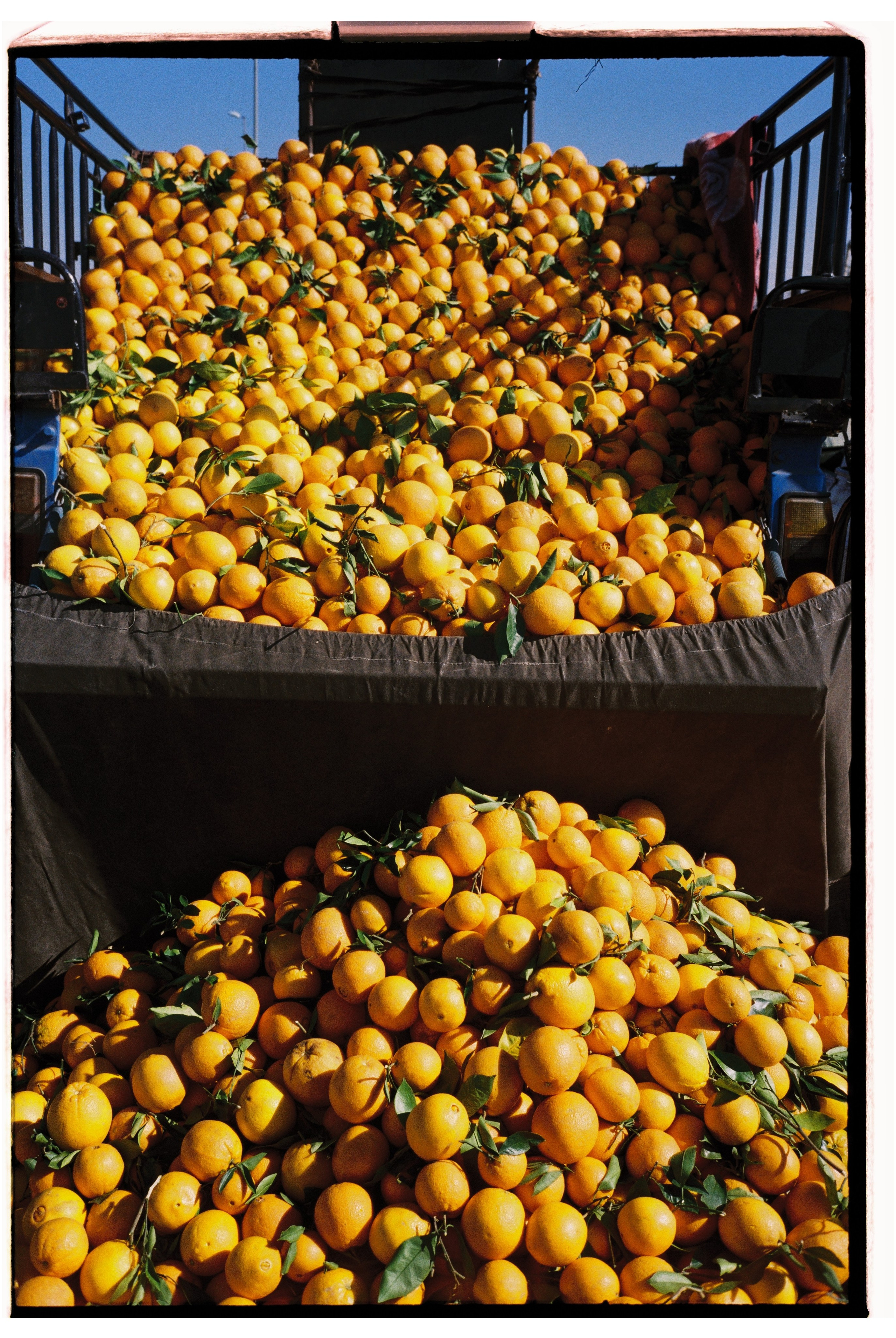 Iran. @tomrus: Рустам Шагиморданов — фотограф