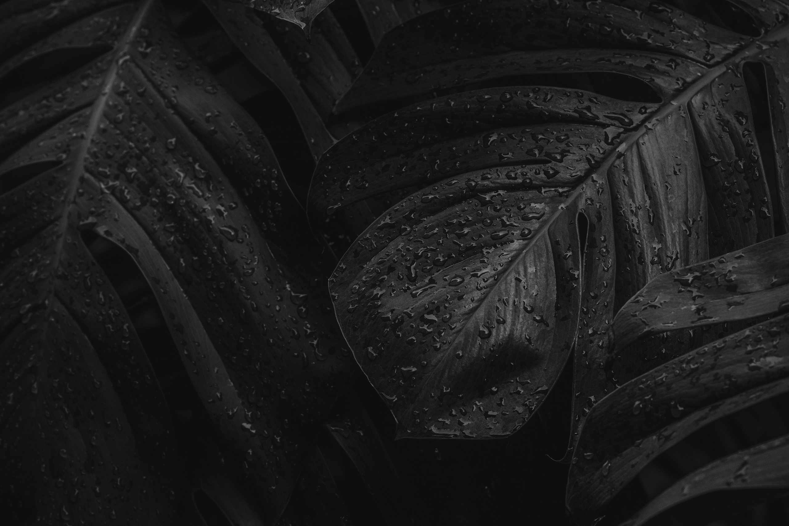 Проектор. Фотостудии К69