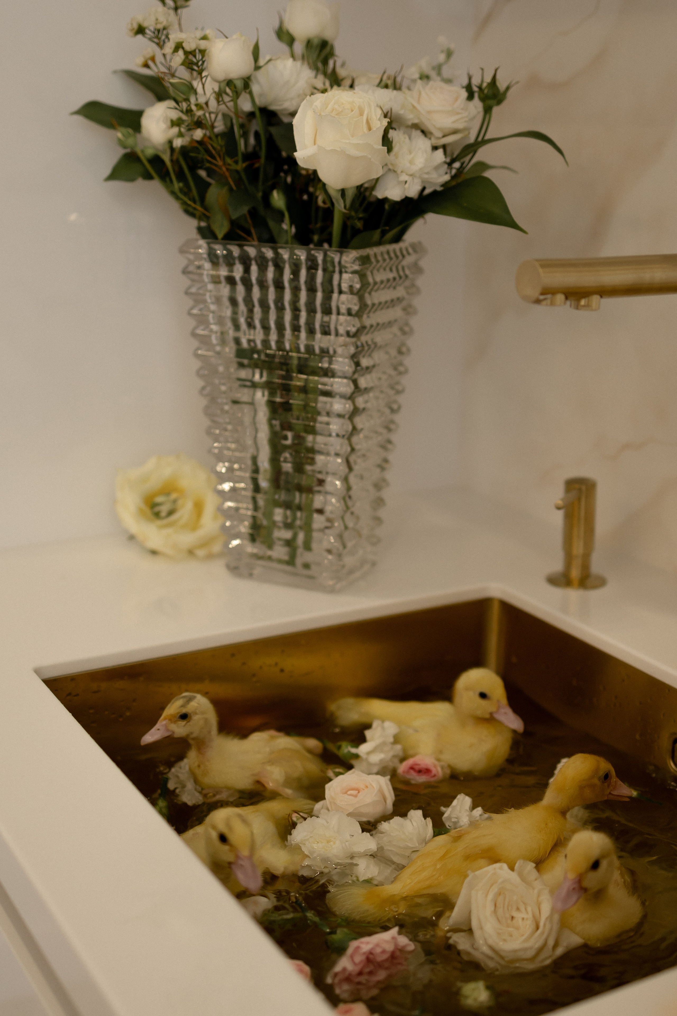 Лиля и Ассель. Свадебный и семейный фотограф в Казани Aileen