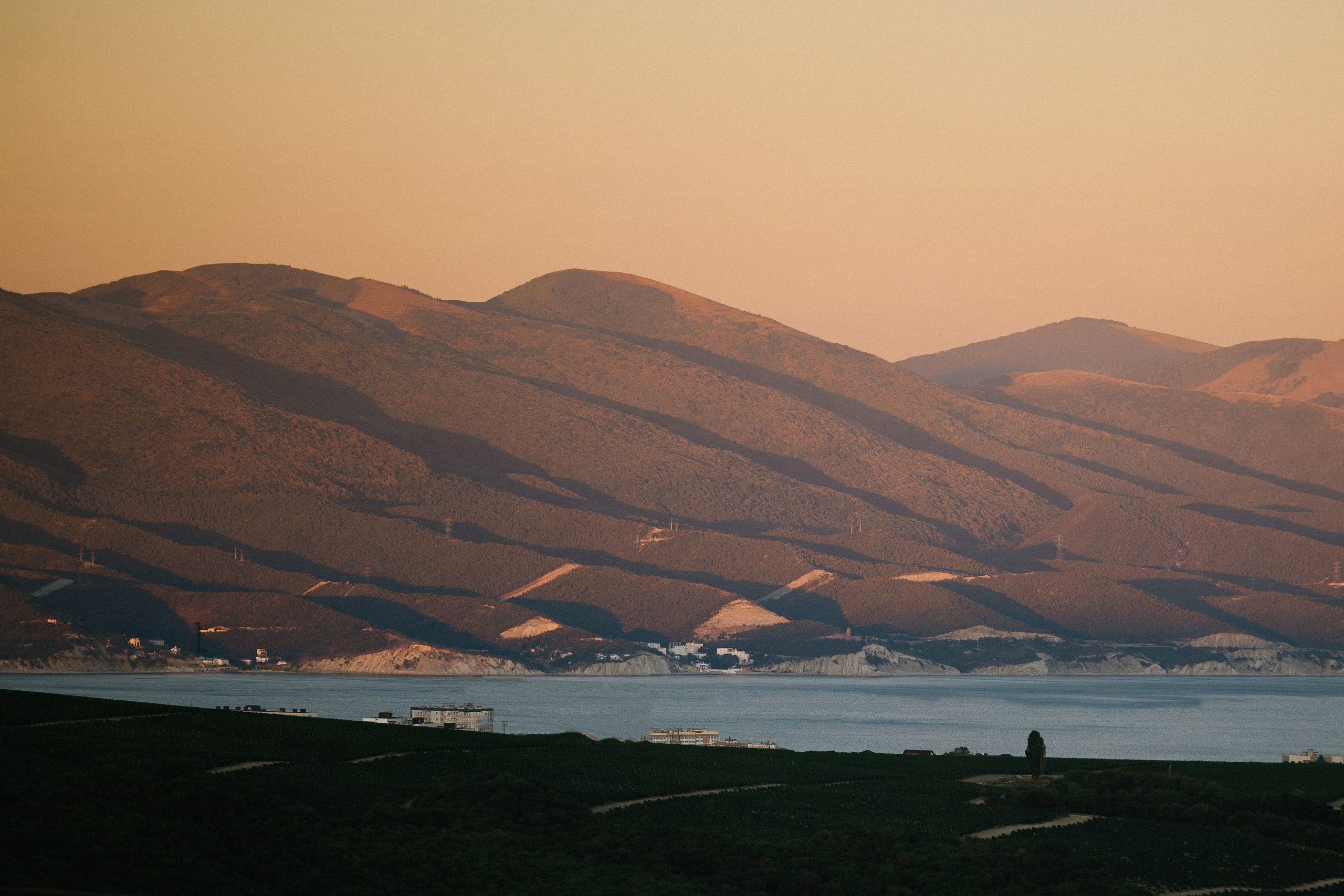 Ныряй в мою любовь!. Свадебный и репортажный фотограф Новороссийск, Краснодар, Сочи Олеся Дзюба