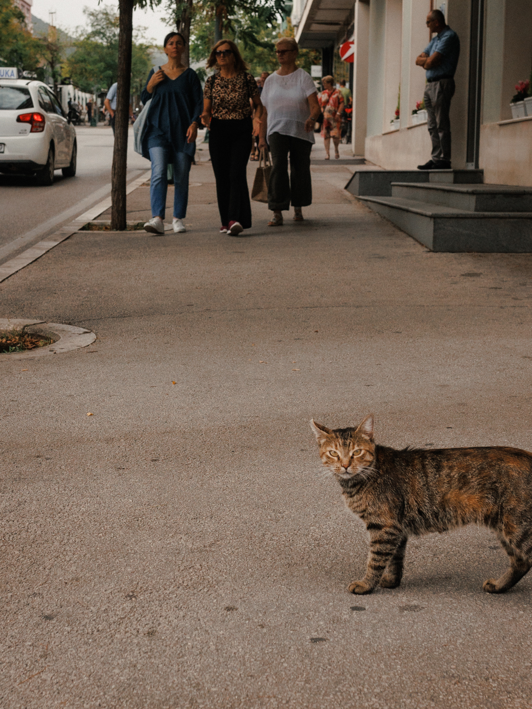 Mostar. Bosnia i Herzegovina. Wedding Event ART Photographer