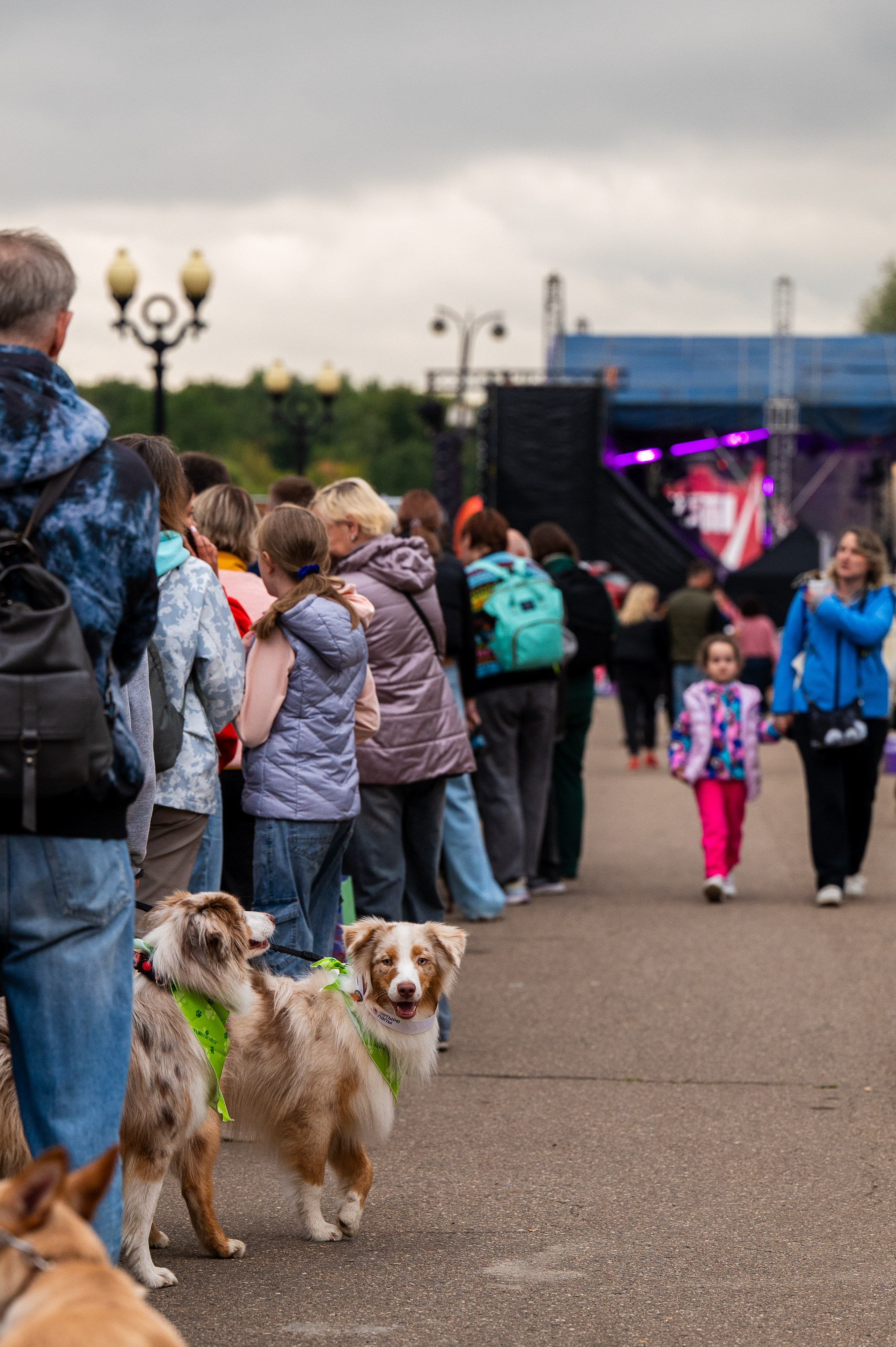 4lapy fest 2025. Photographer in Moscow Anna Chistiakova
