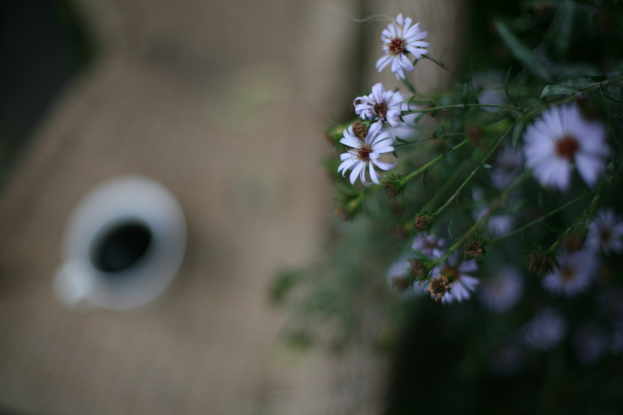 Ускользающее лето. АRТ&PSY | Искусство психологии