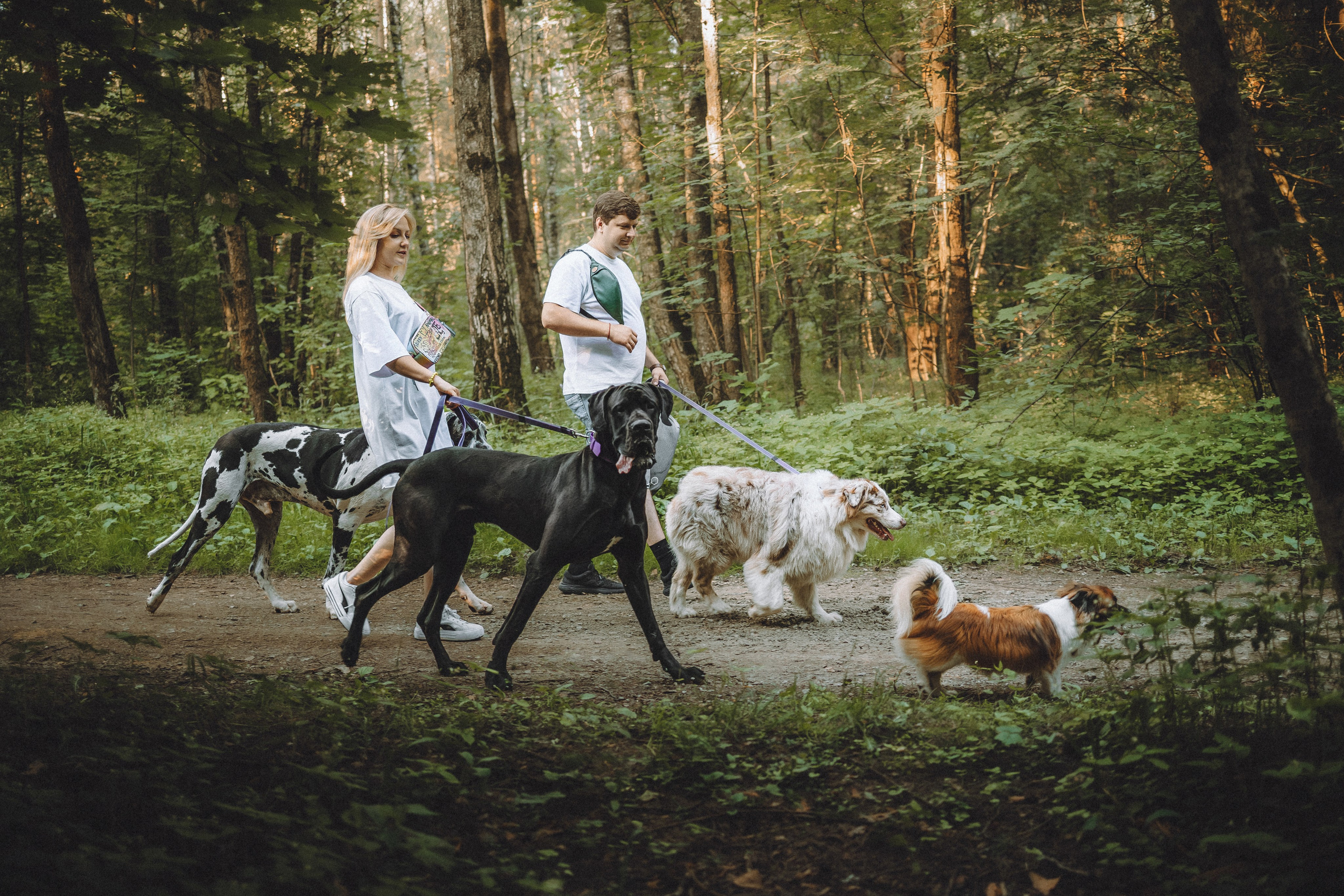 Катя, Андрей, Гектор, Ричи, Тортик и Трой
