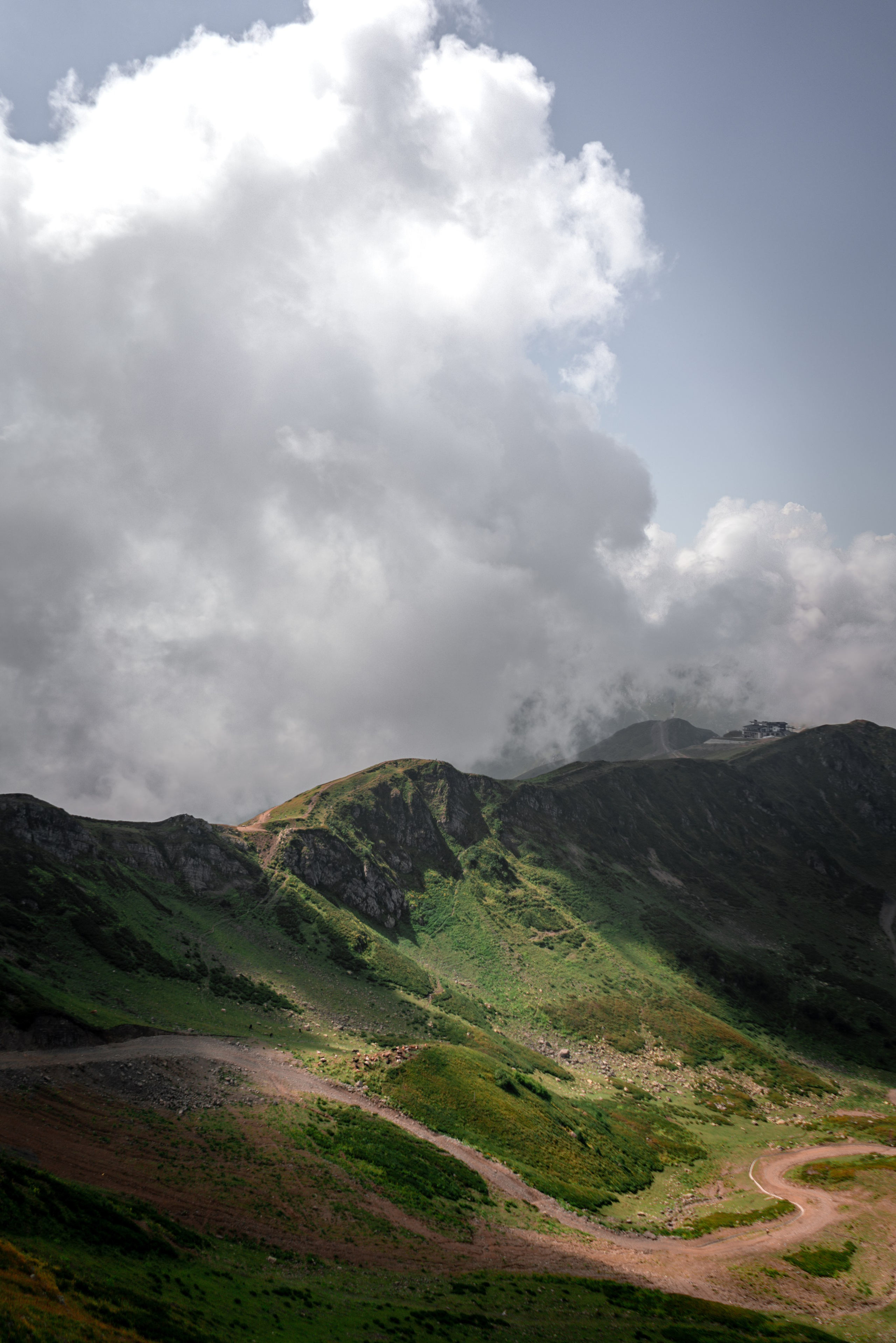 Сочи. Фотограф Александра Волкова | Волгоград