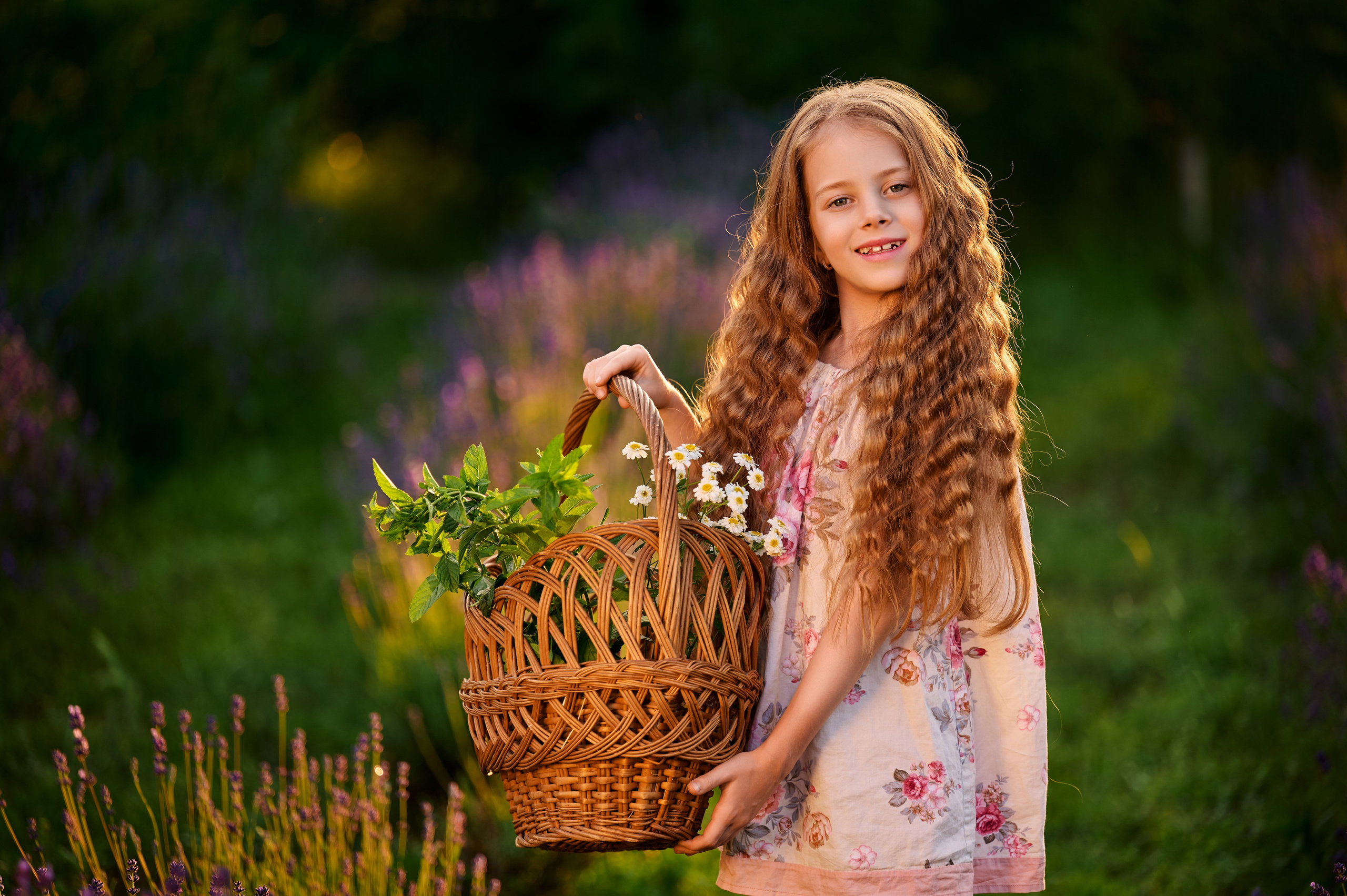 Лаванда на закате. Свадебный, семейный фотограф в Краснодаре