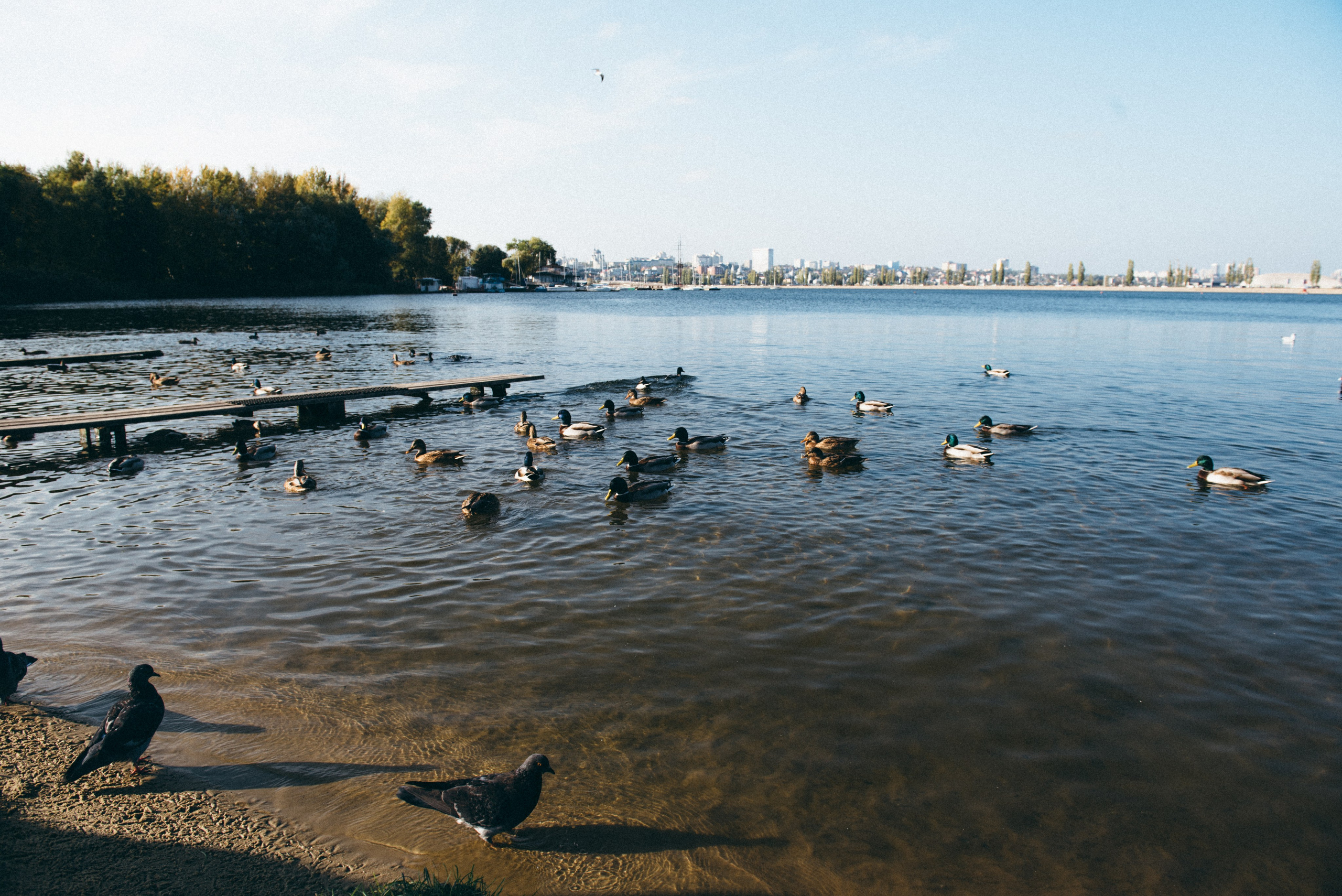 Воронежское море