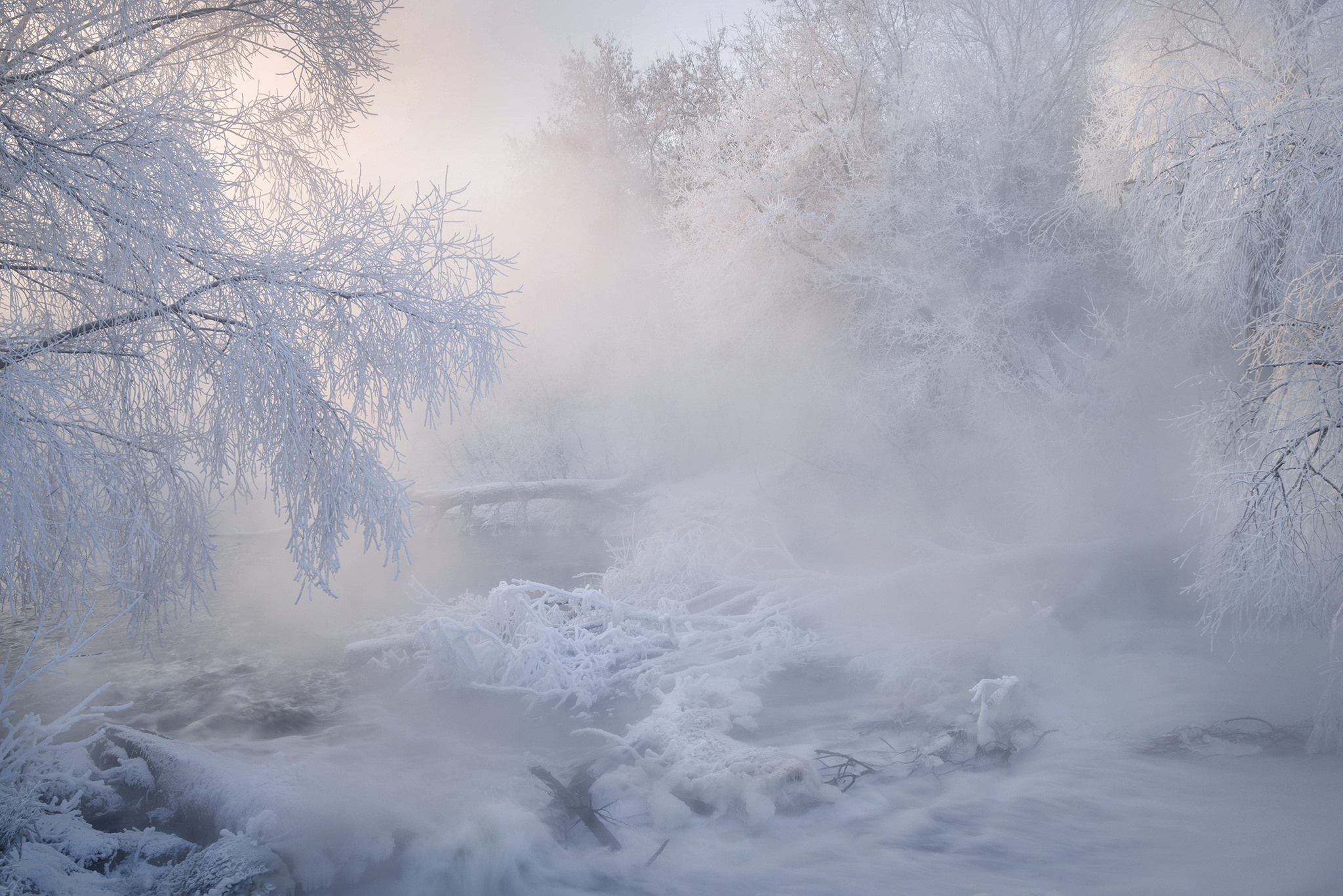 Пейзажи. Предметный фотограф в Москве Вячеслав Тимошенко