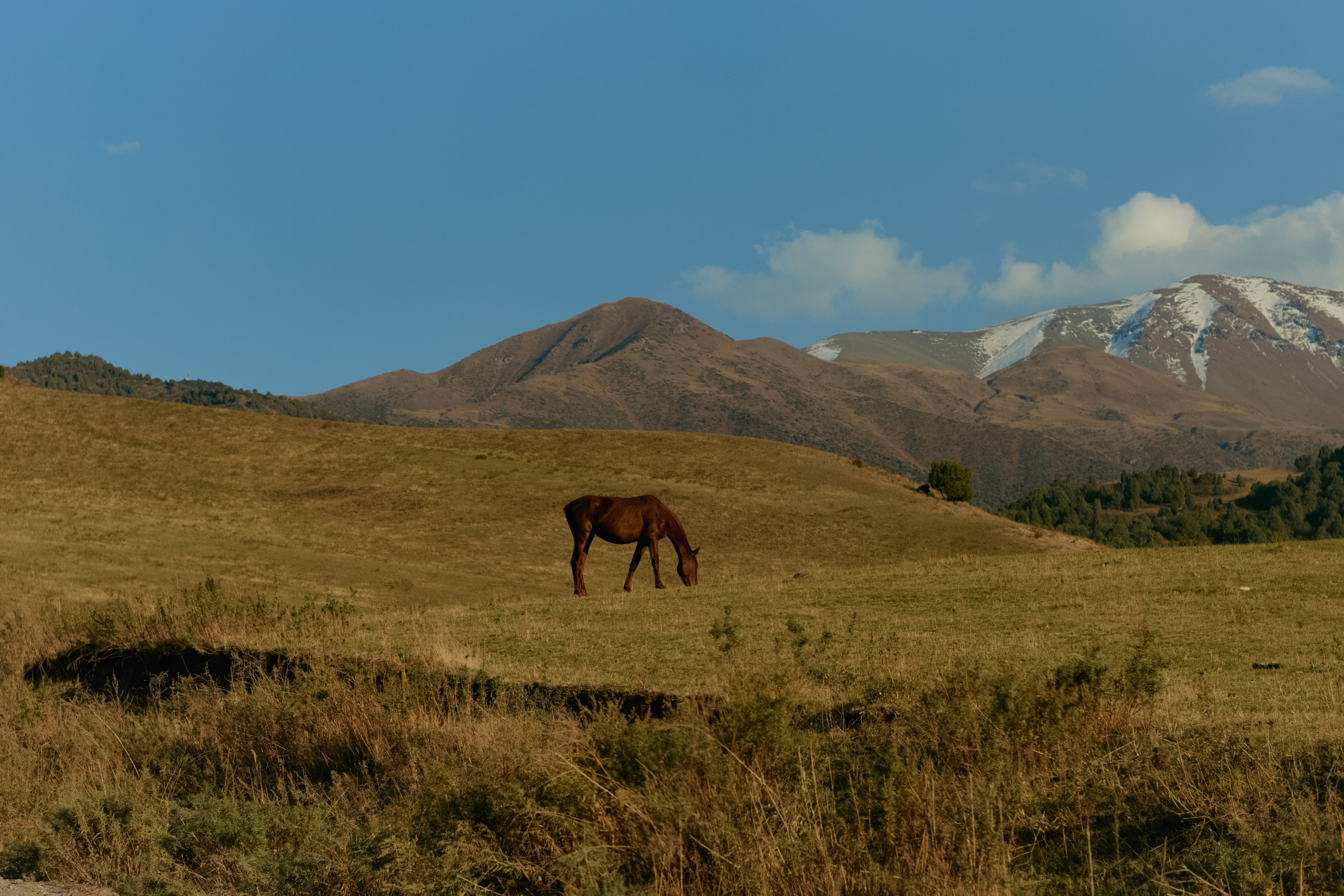 Кыргызтан. Профессиональный Фотограф во Владимире, в Москве и в Суздале — Полина Романычева