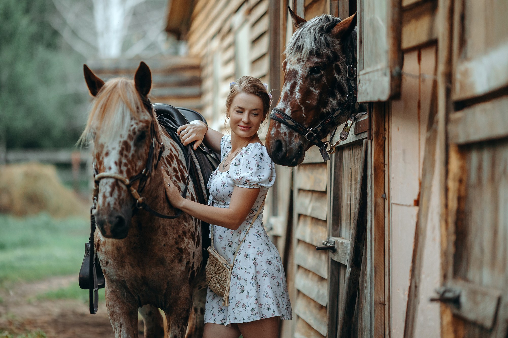 Пятнистая история. Анна Молчанова конный фотограф в Тюмени | фотосессии с лошадьми Тюмень