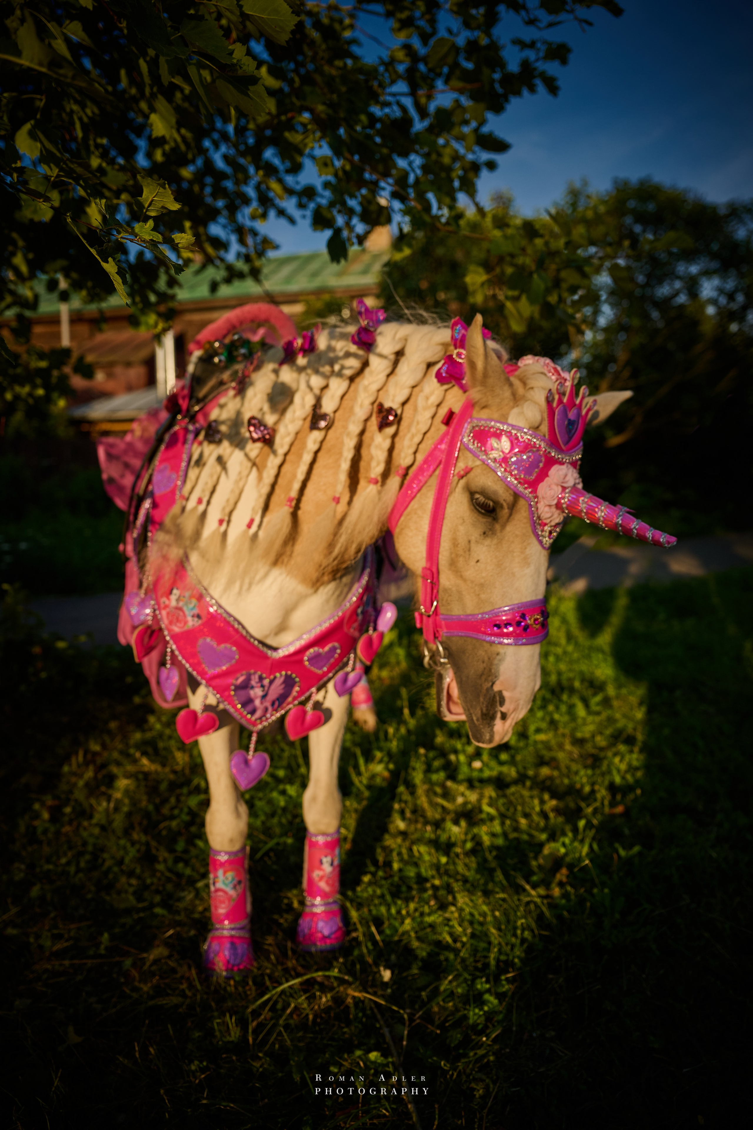 Суздаль. Июнь 2025. Фотограф Роман Адлер