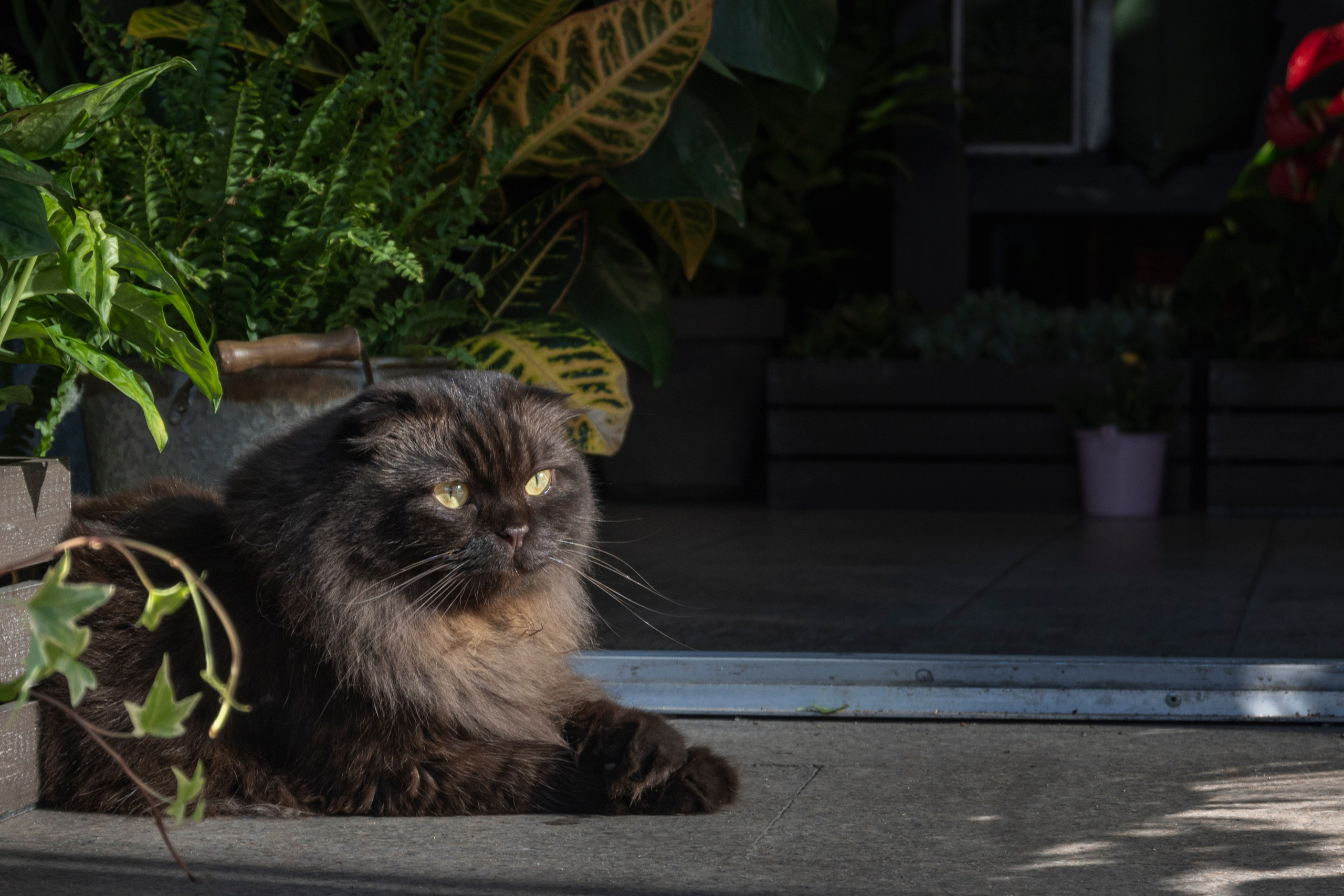 Чита -Москва. Фотограф Роман Адлер