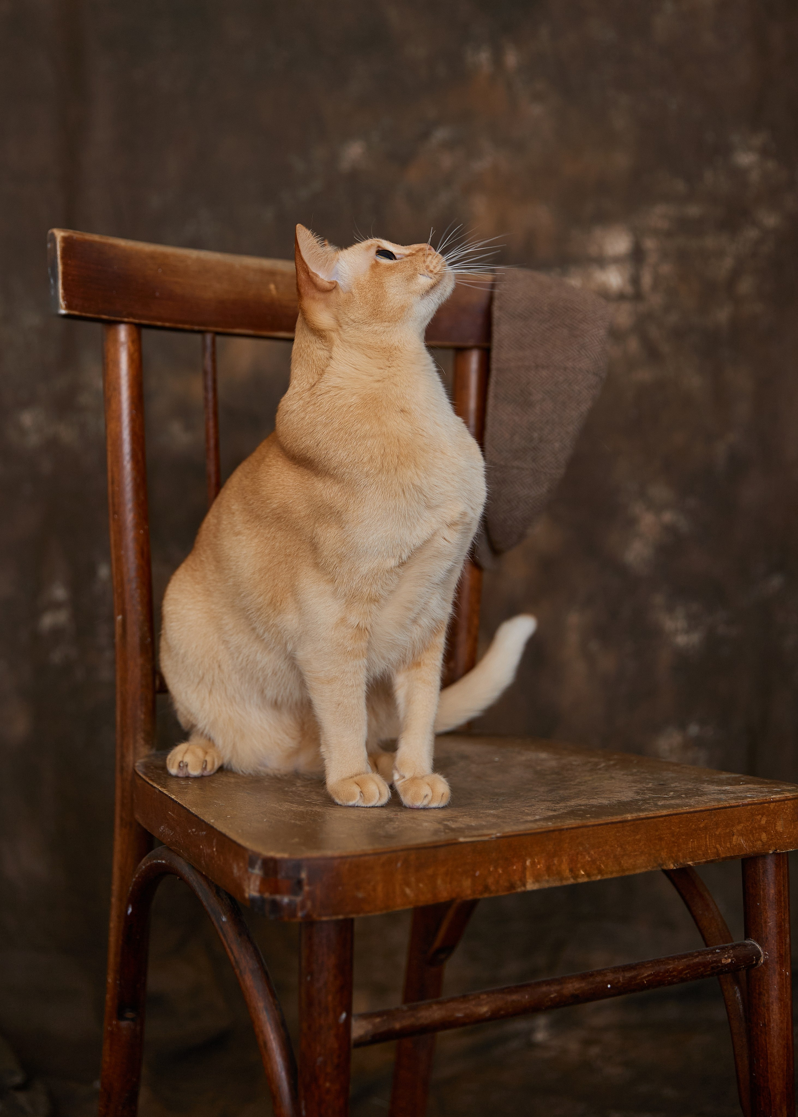 Полина. Фотограф женского портрета, беременности и материнства Харькова Елена