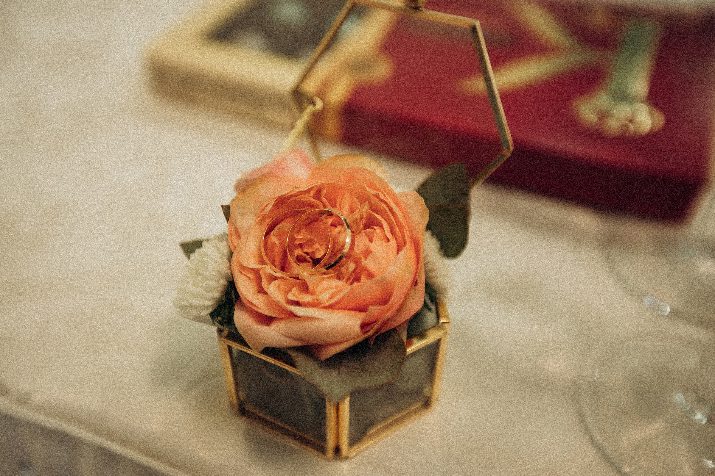 Владимир & Евгения. Алексеева Татьяна свадебный фотограф Краснодар, Краснодарский край