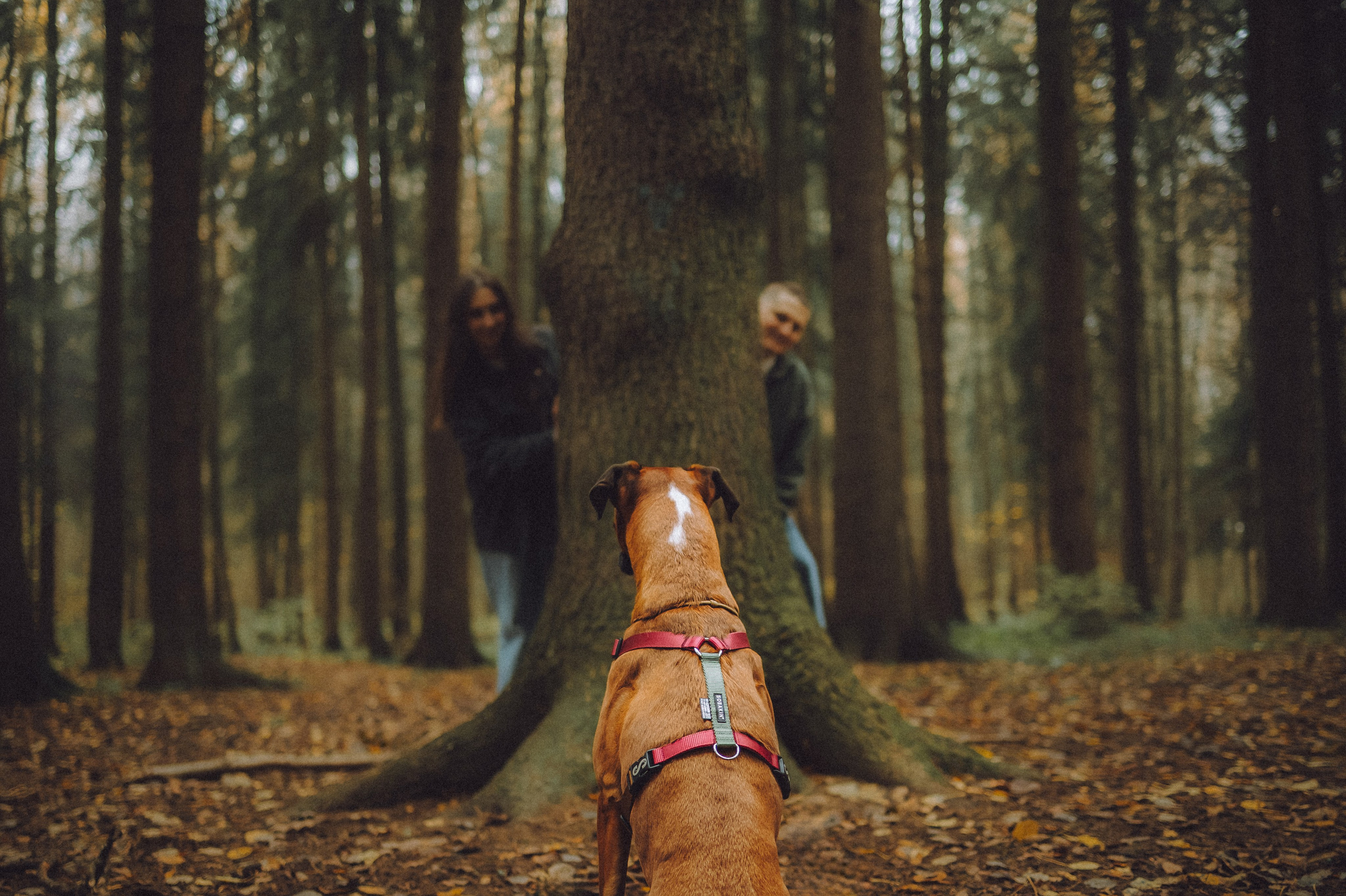 Элли и ее семья