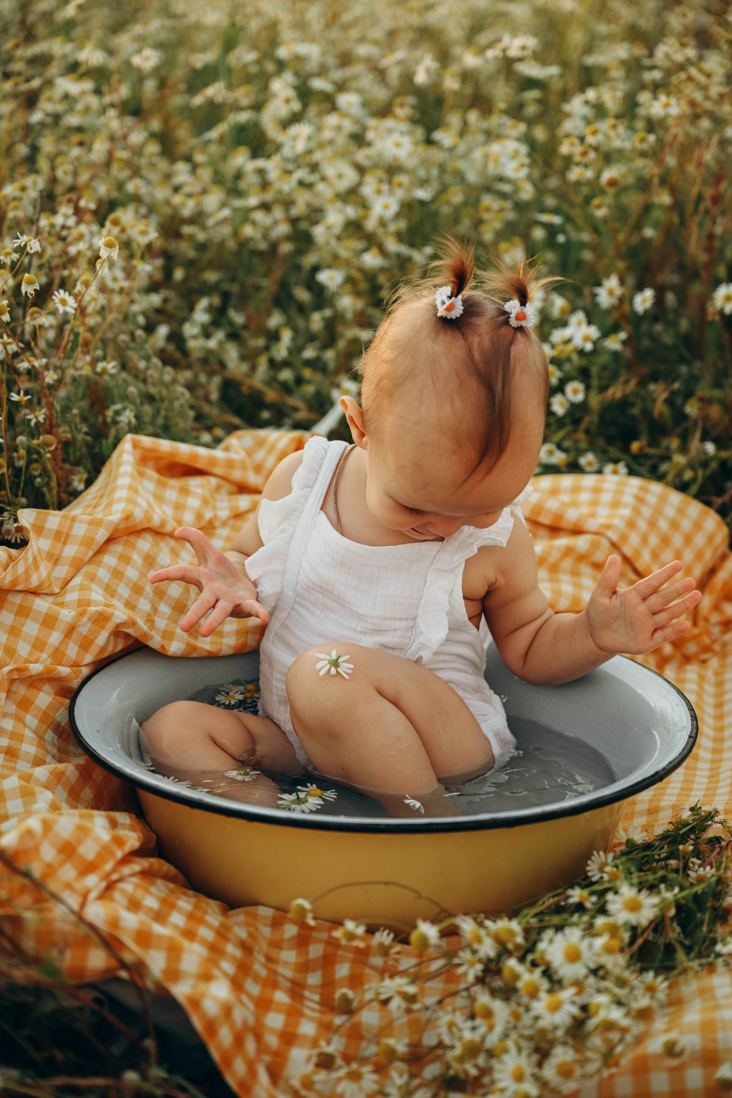 Ромашковое поле. Семейный фотограф в Москве Люберцах Ирина Вронская