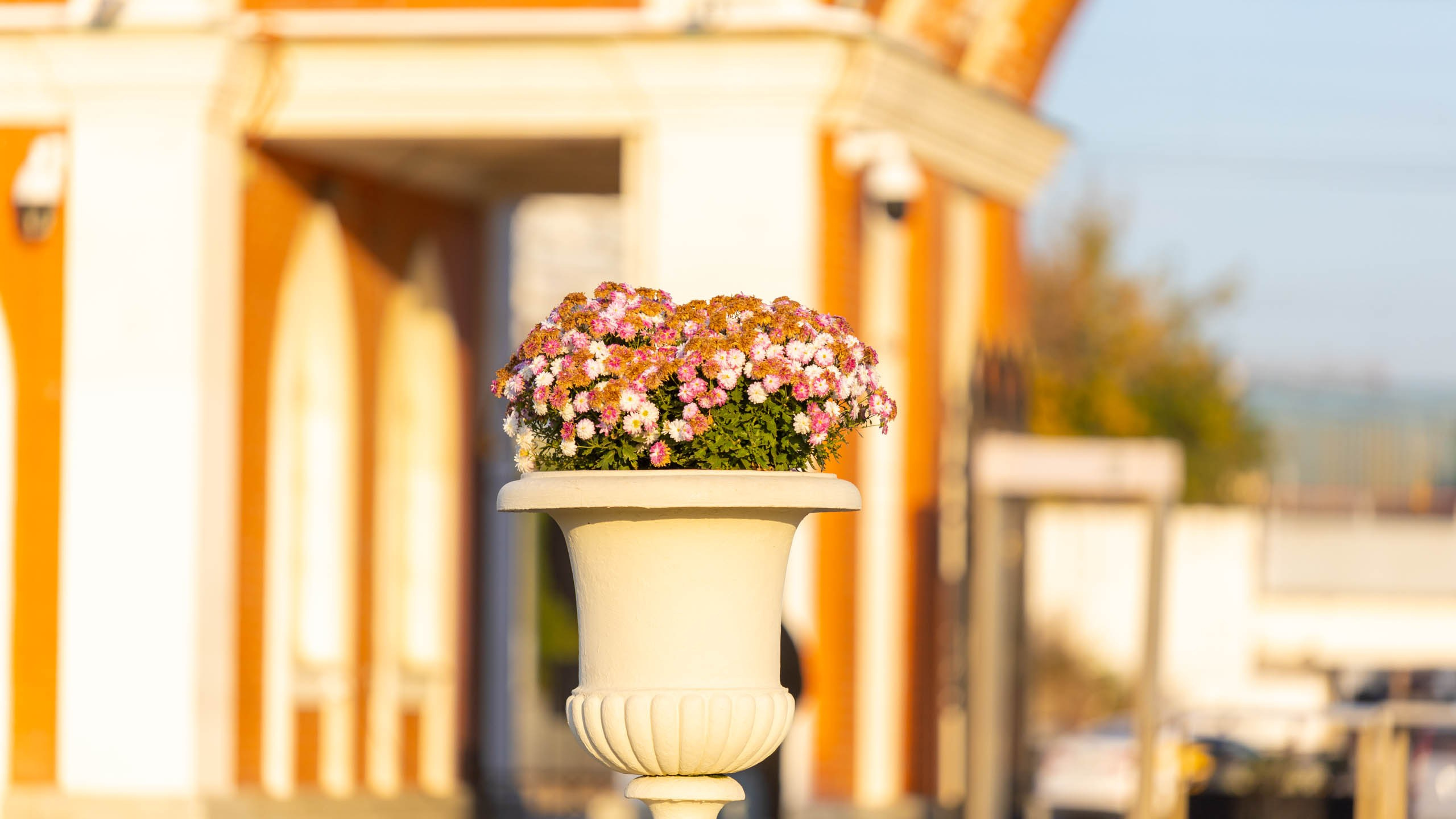 2023 09 Царицыно. Фотографии