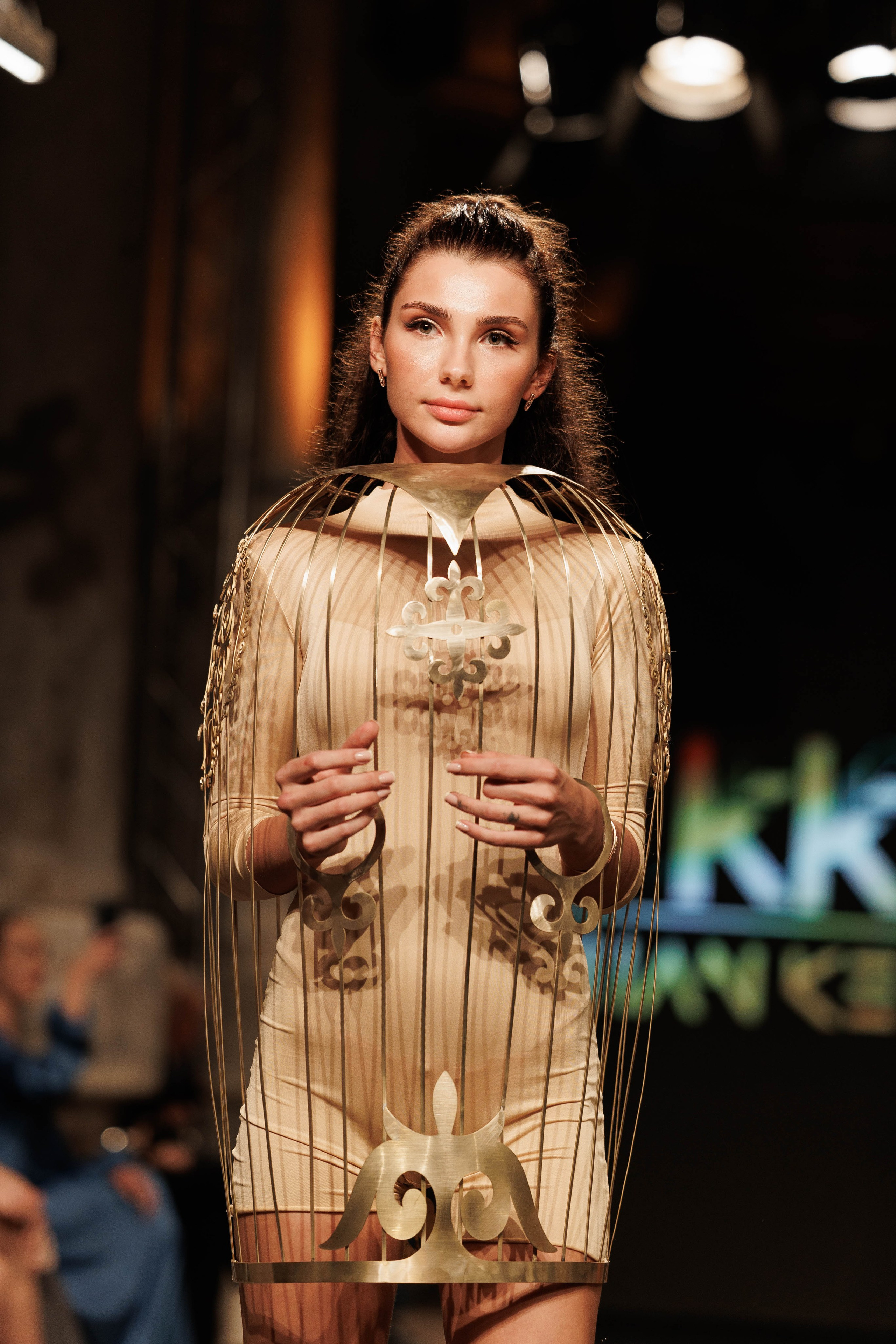 IFB-показ. About