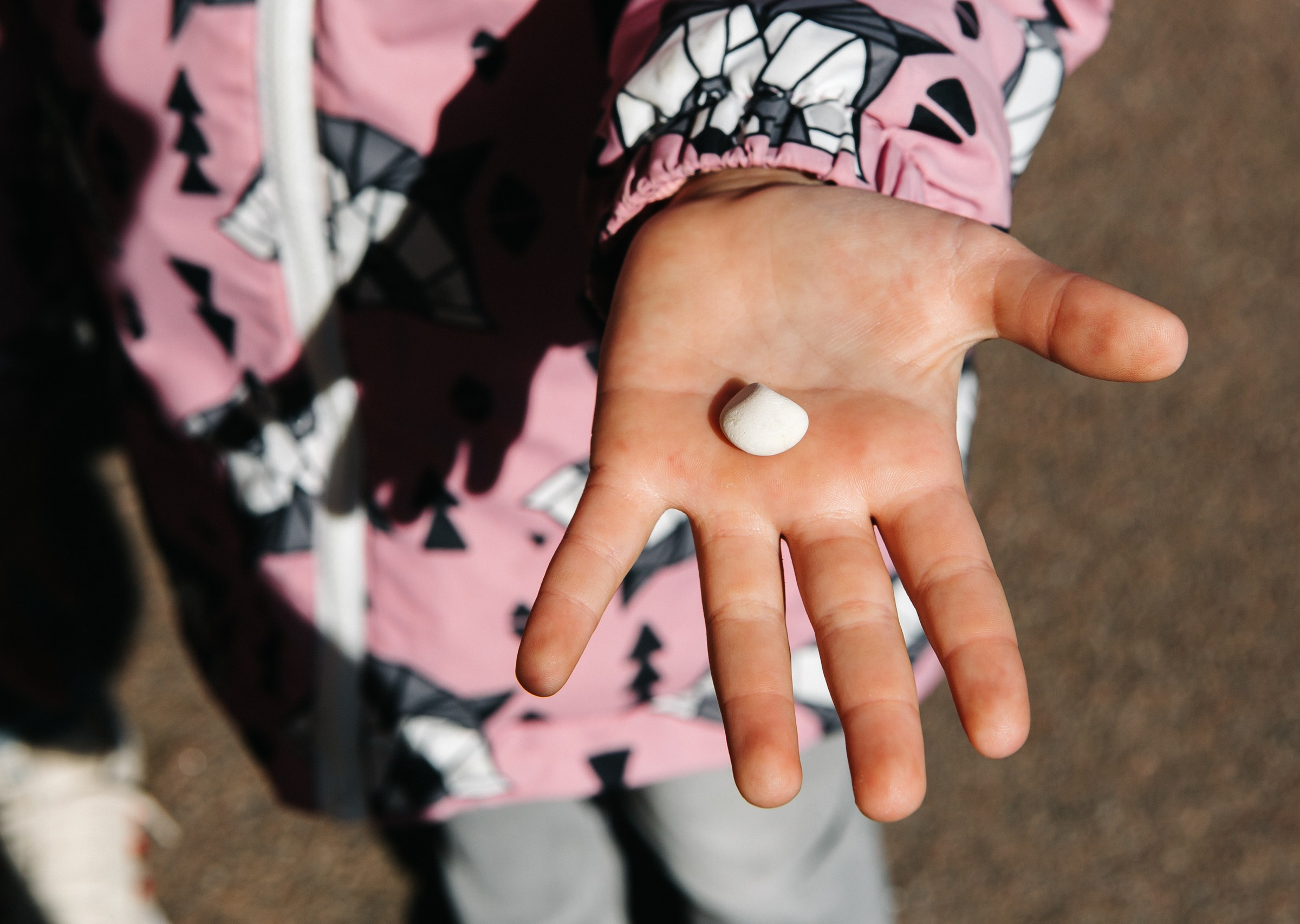 Лена, Сережа, Настя и Катюша. Семейный и портретный фотограф в Санкт-Петербурге