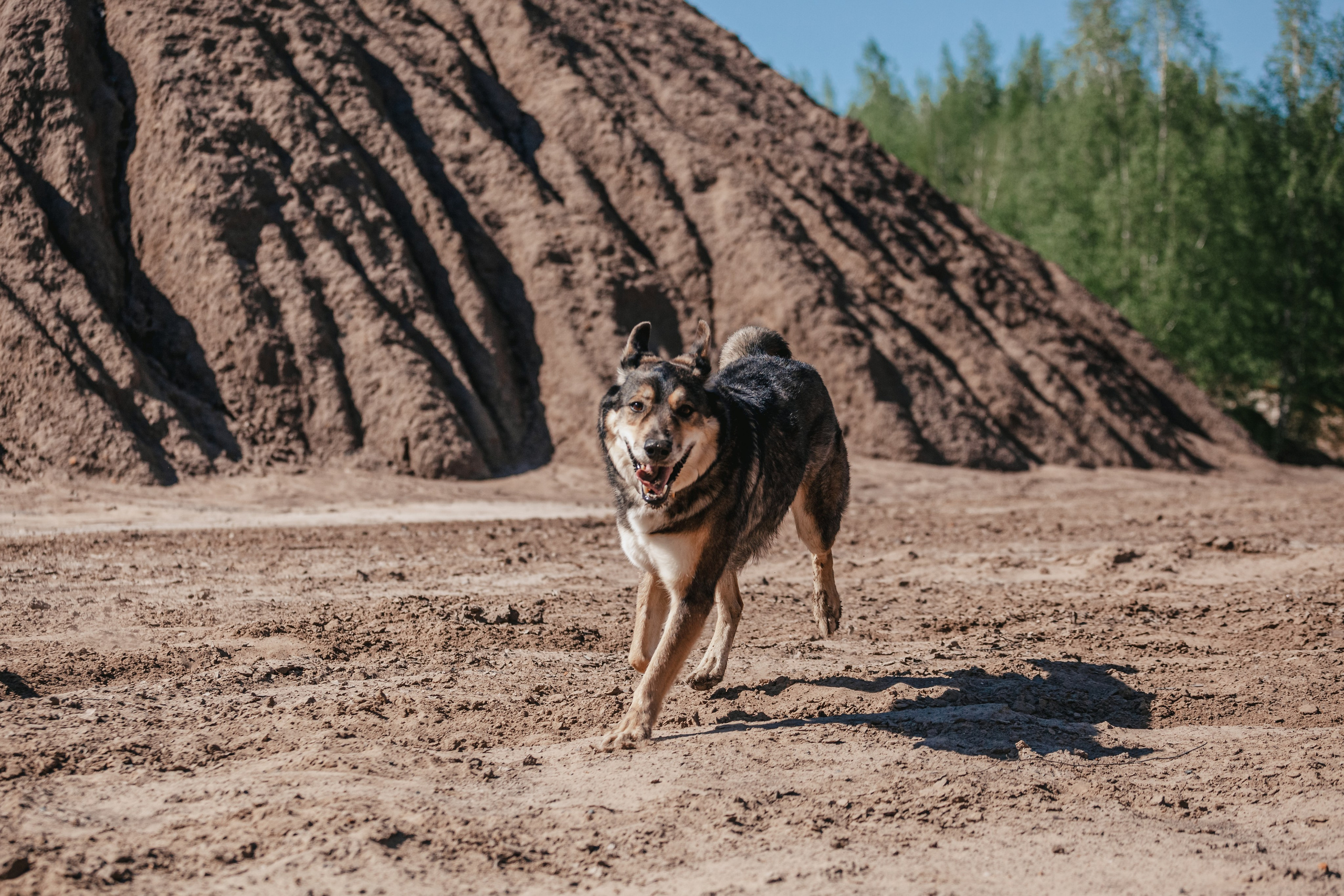 Кондуки. Фотограф-анималист Татьяна Степанова