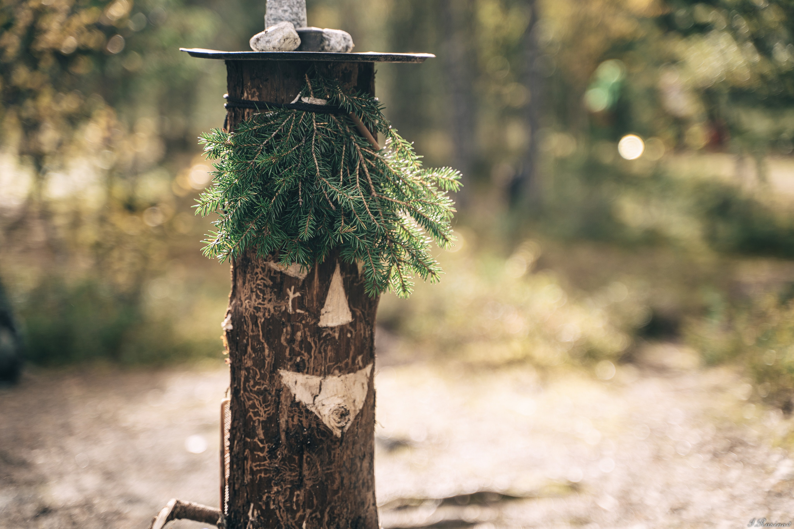 ХИБИНЫ 2021 г. Event фотограф Степанова Александра