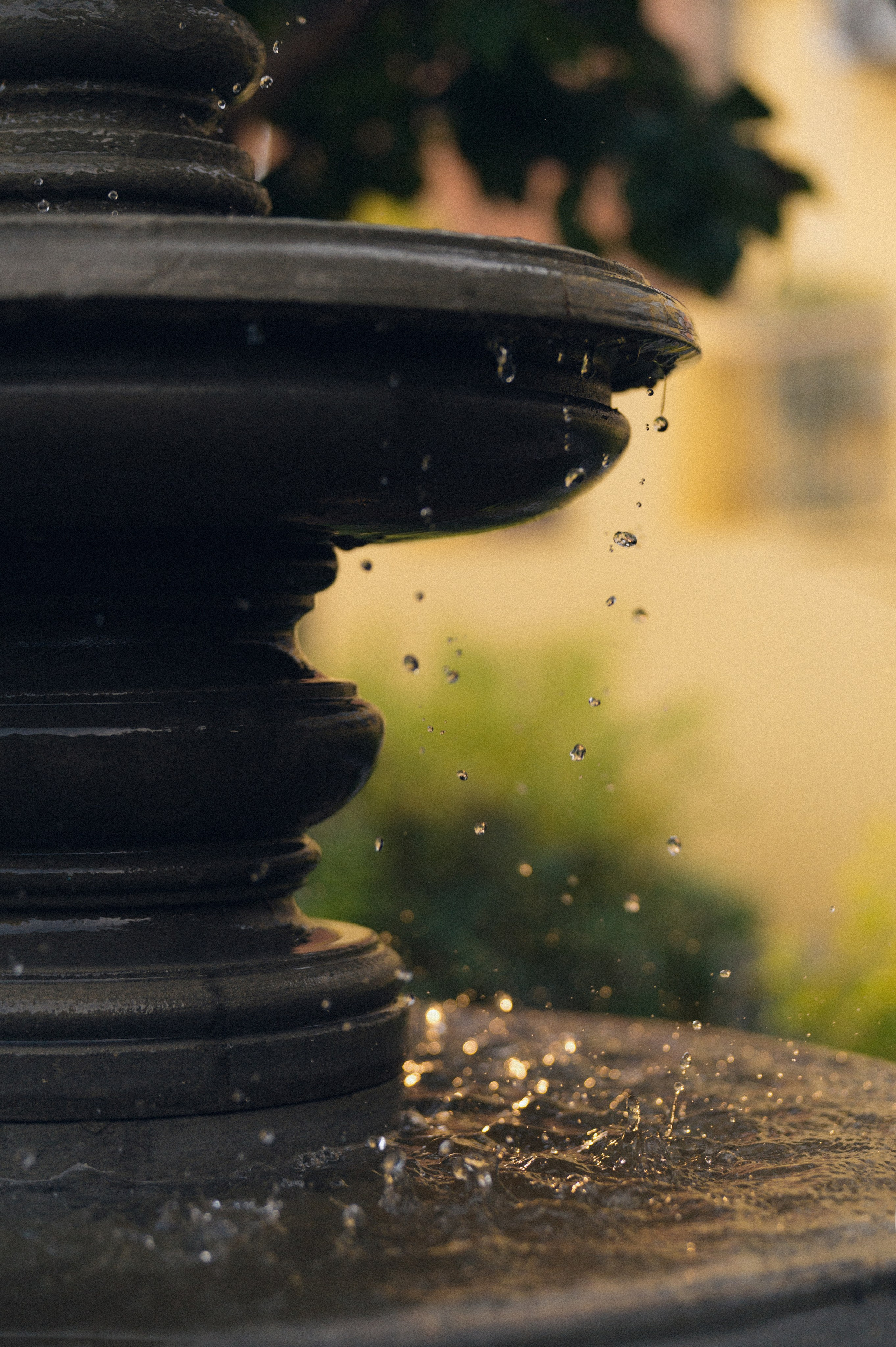 Данил и Оля. Свадебный фотограф и видеограф