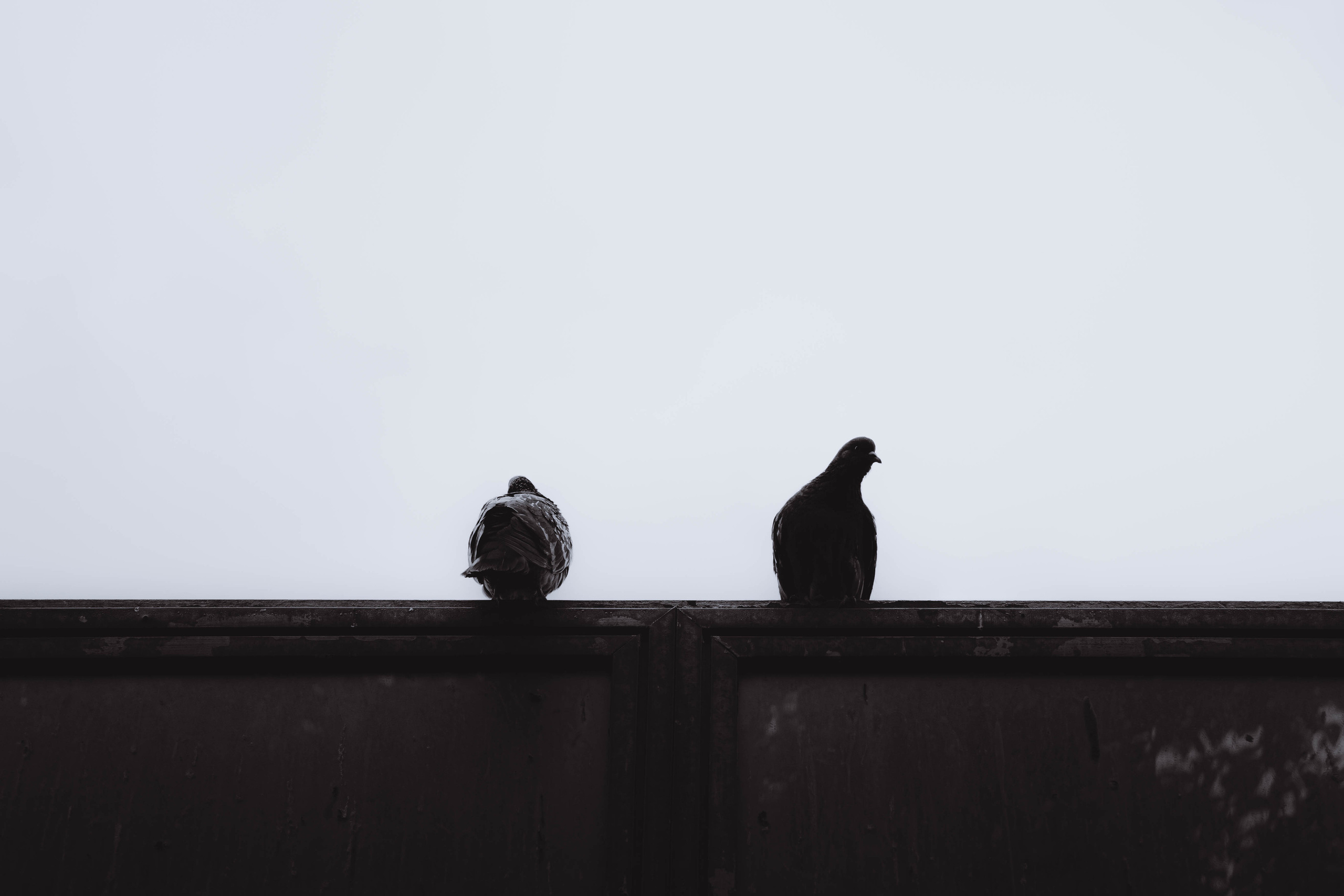 Улицы. Фотограф Артём Бобков Сургут