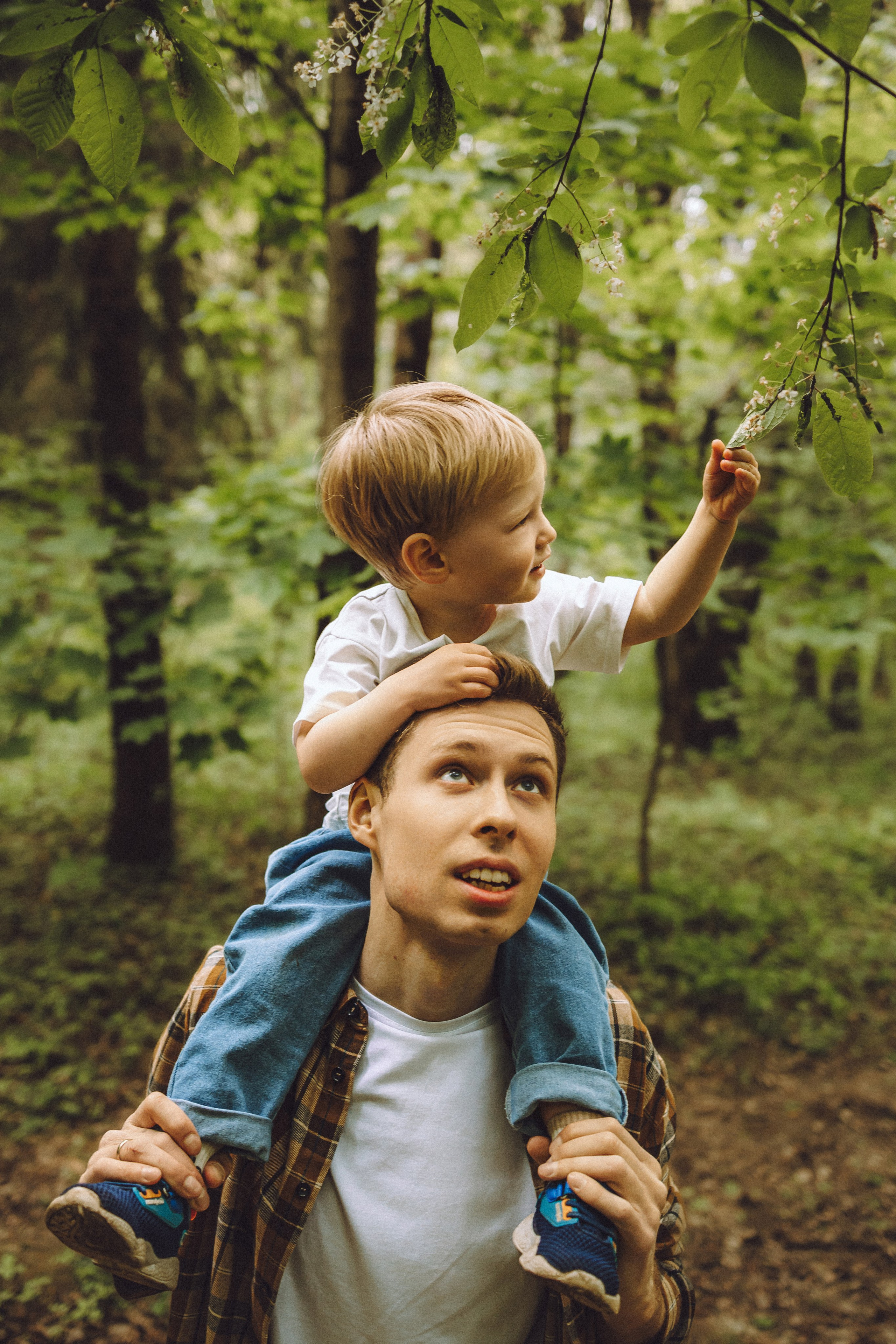 Лорик и его семья