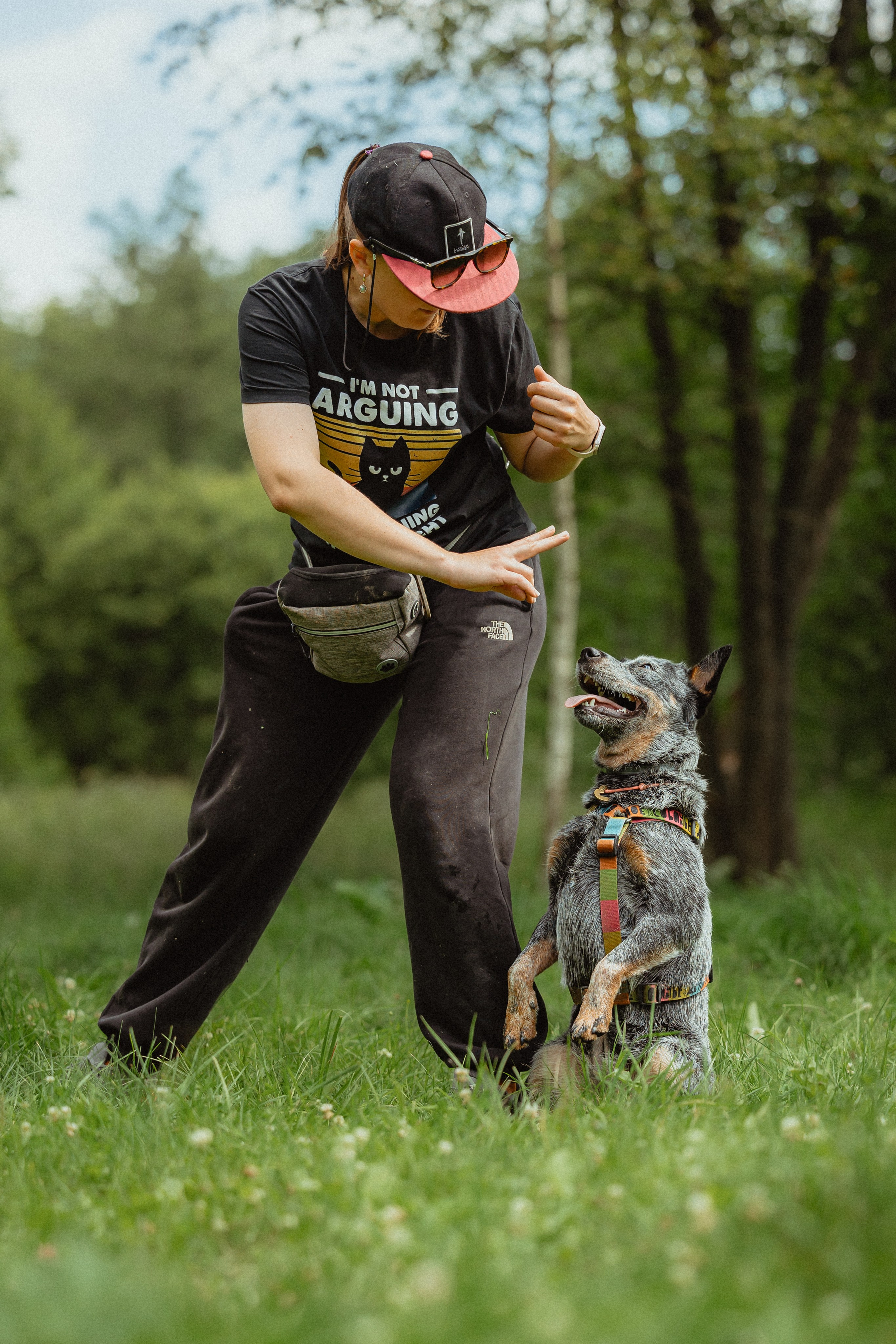 Выездной дог-тренинг от школы «Шерсть имею»