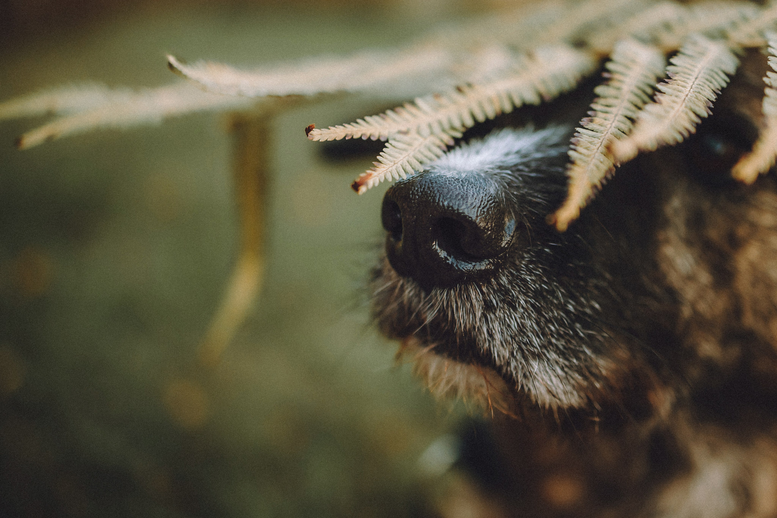 Рик, Джек и их семья