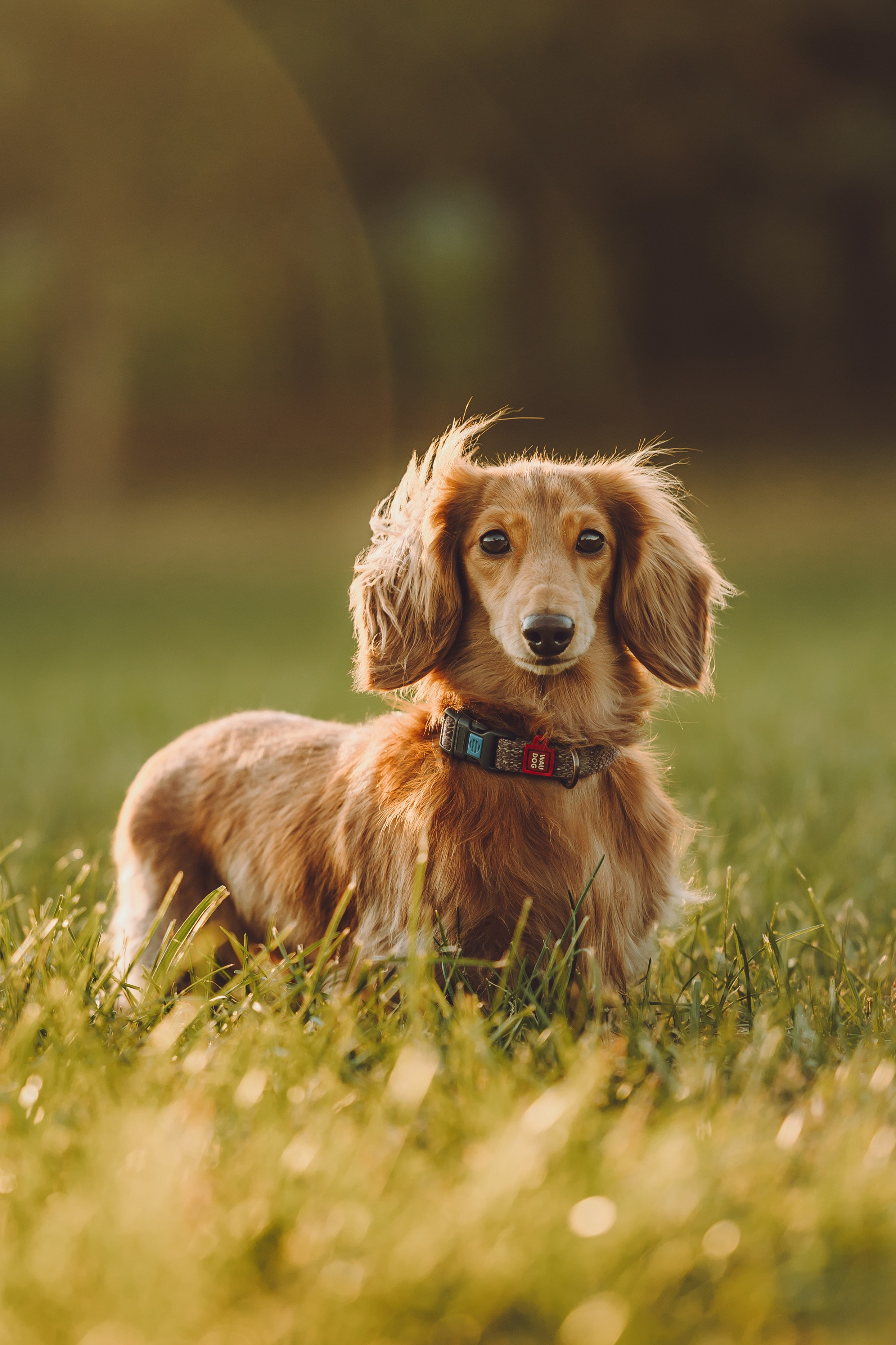Кристина и все-все