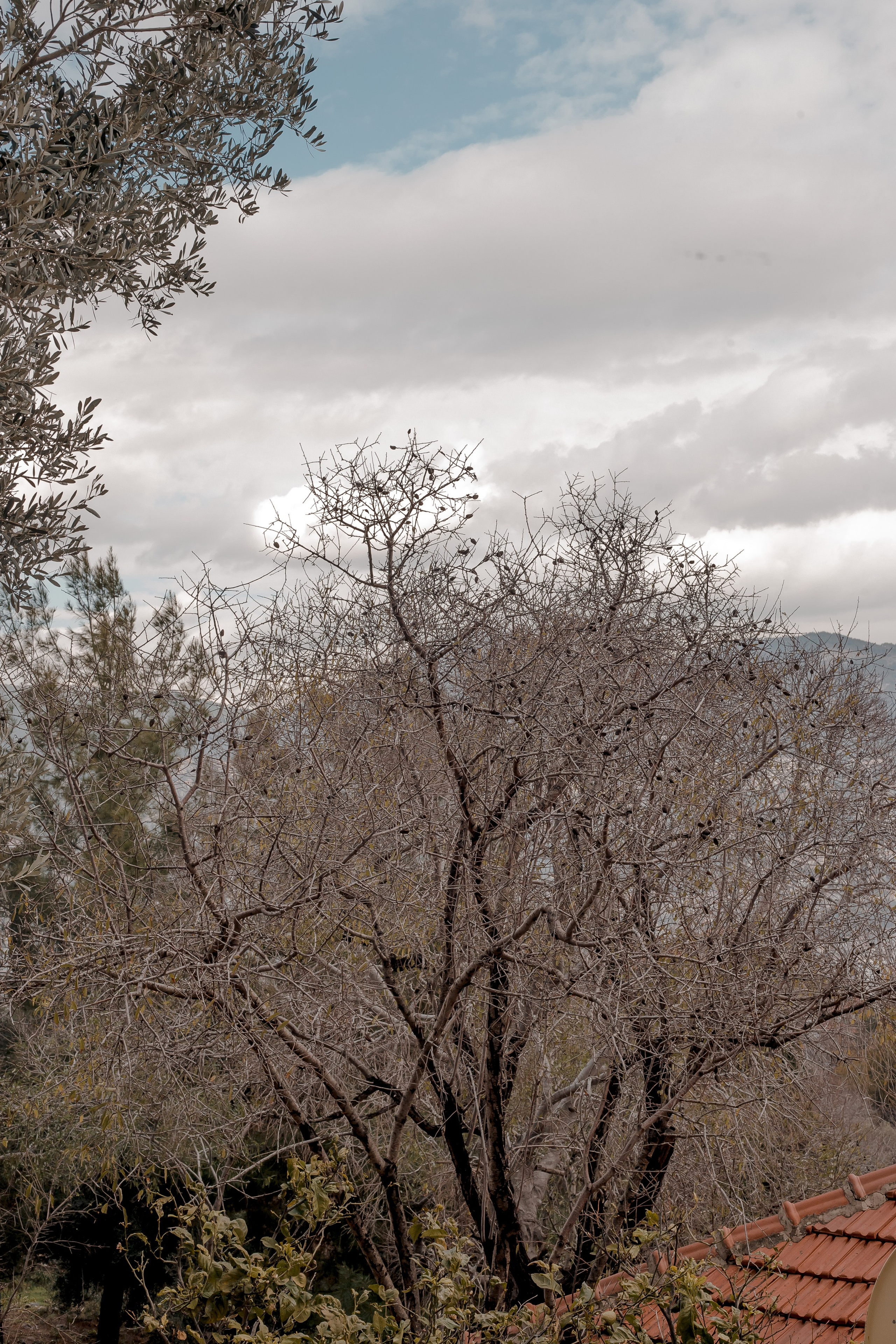 Turkey, Alanya. Art Photographer