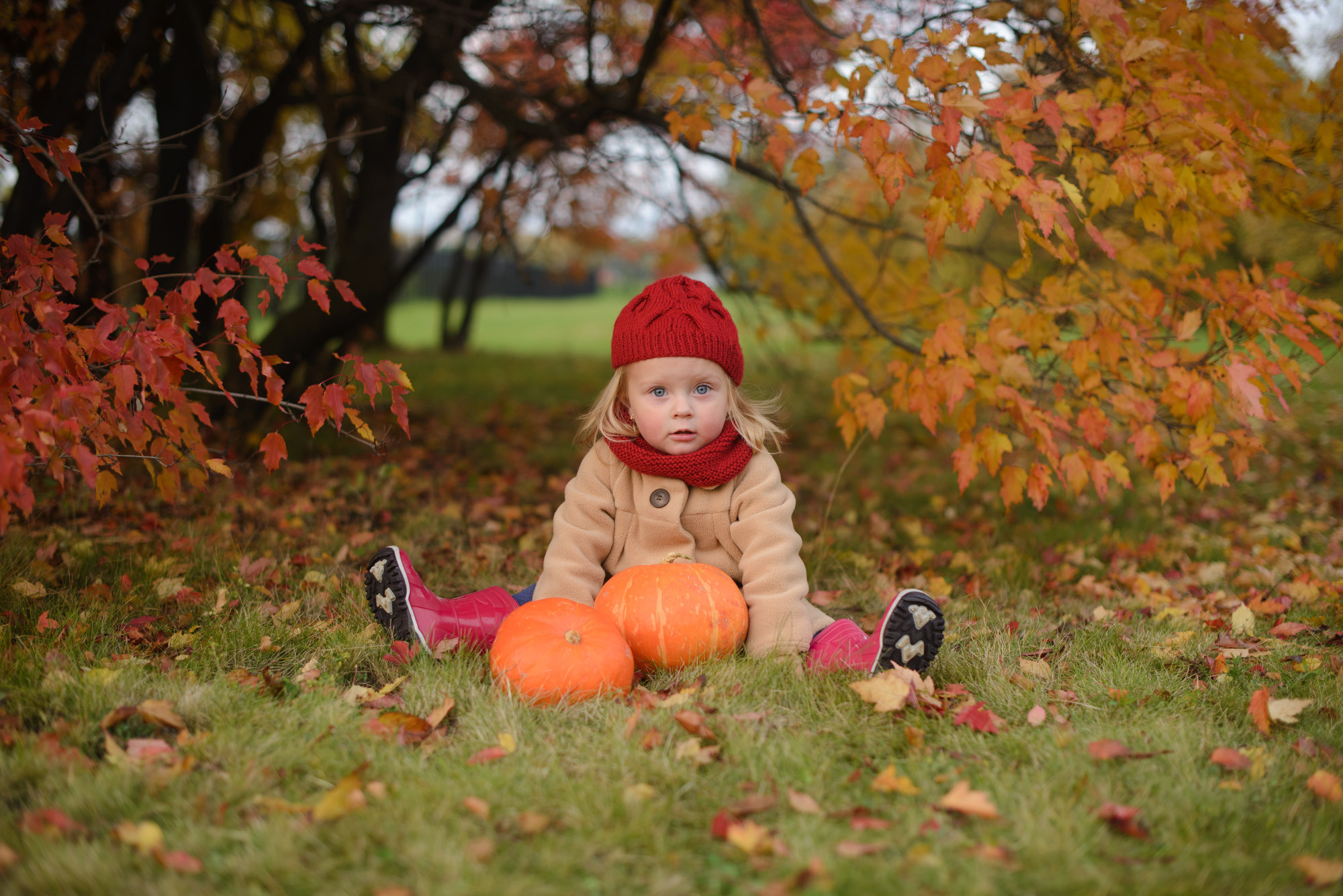 ДО/ПОСЛЕ. Семейный фотограф в Домодедово и Москве Елена Пичугина