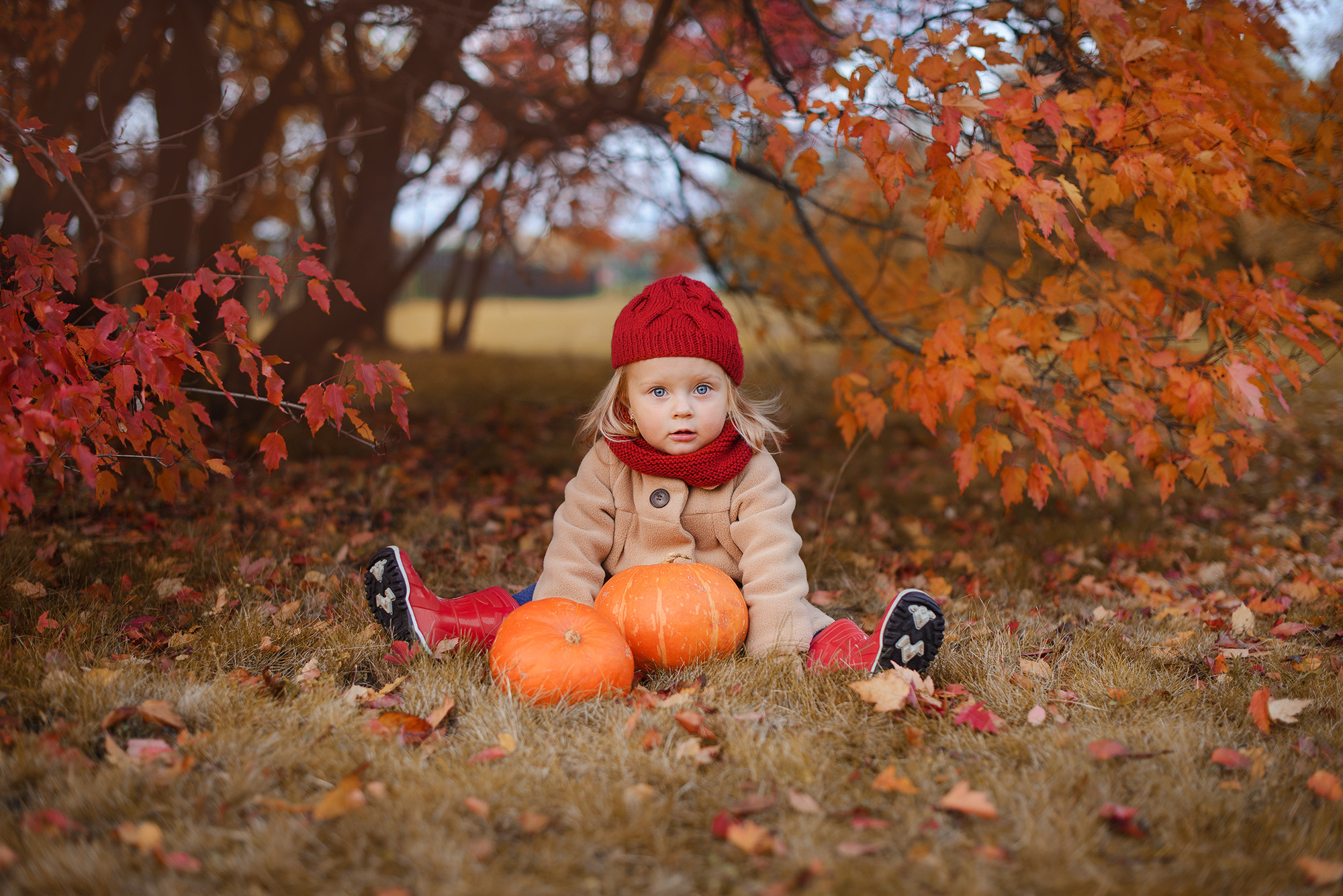 ДО/ПОСЛЕ. Семейный фотограф в Домодедово и Москве Елена Пичугина