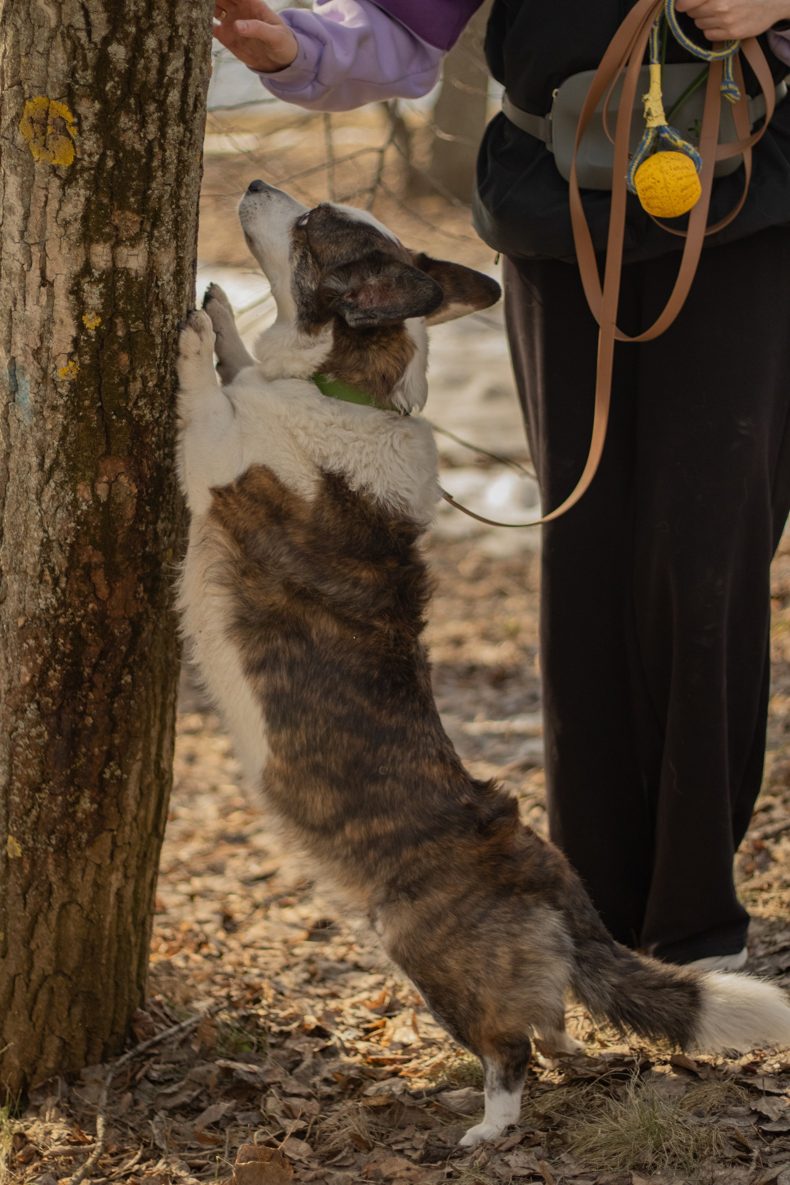 Юлия и Тэя. Катя Попова|ЛайфСтайл фотограф