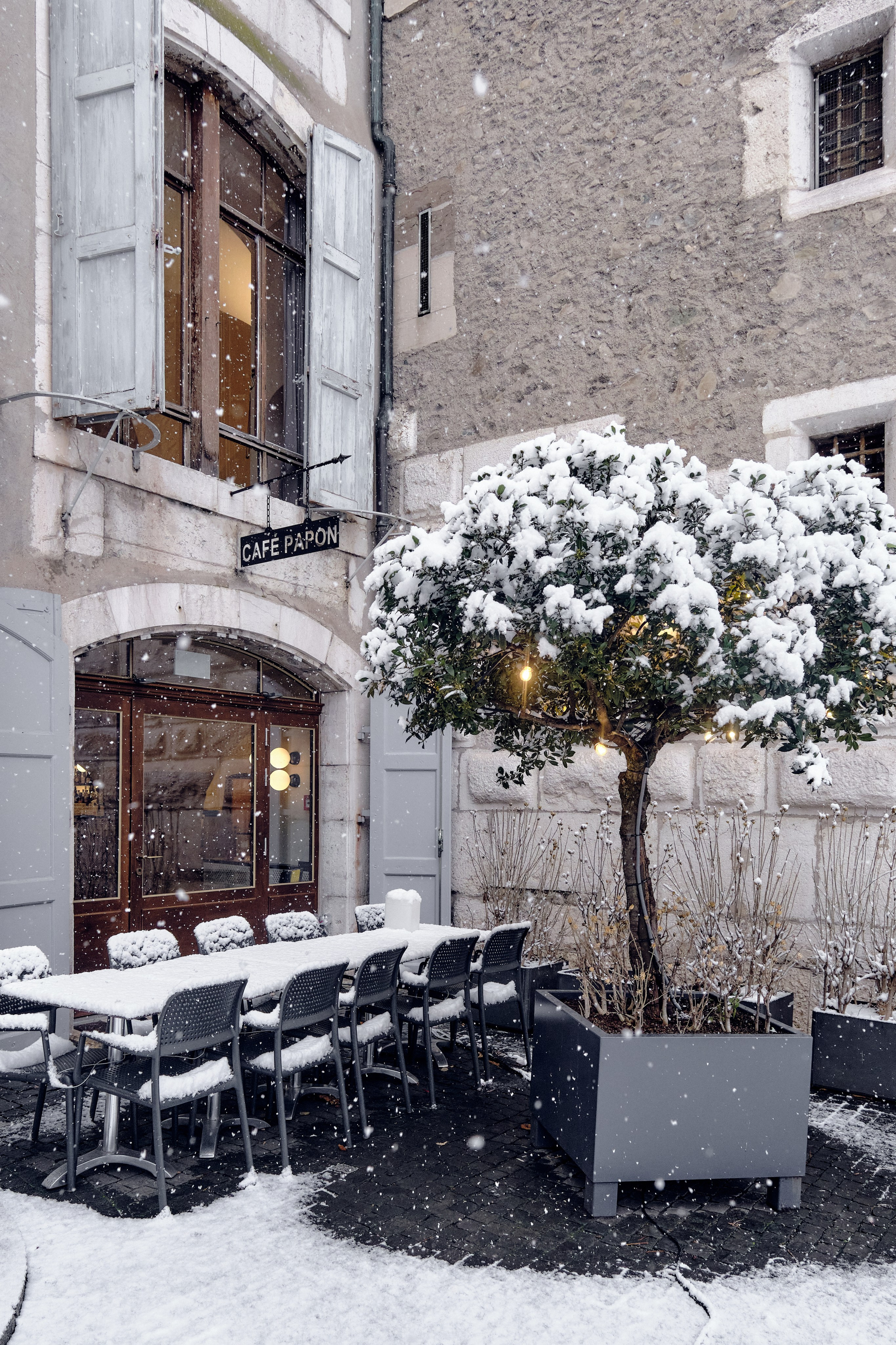 Geneva / winter 2024. Aleksandr Kobtsev