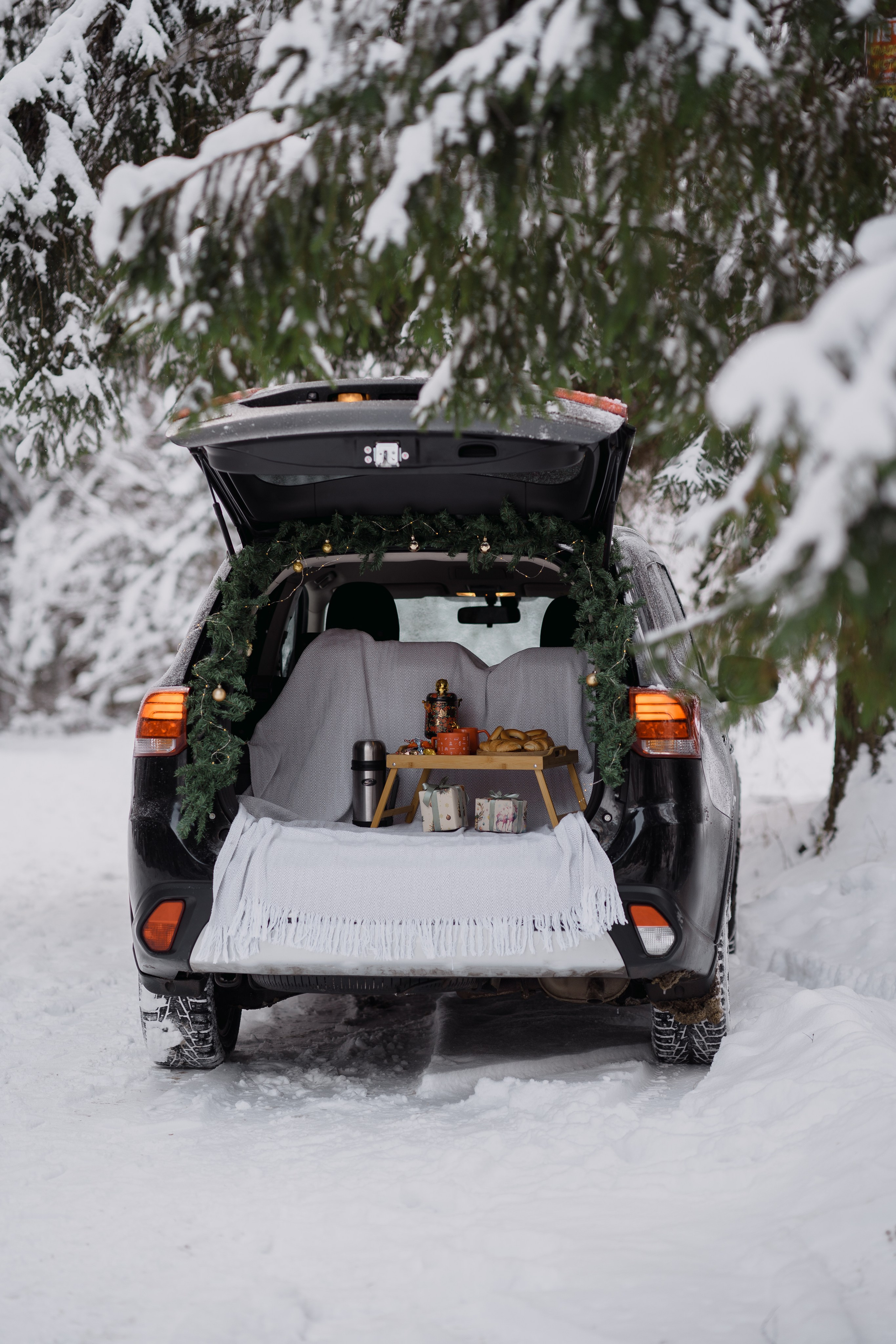 На пикник в лесу. Семейный и детский фотограф в Сергиев Посаде, Хотьково Якимчук Любовь