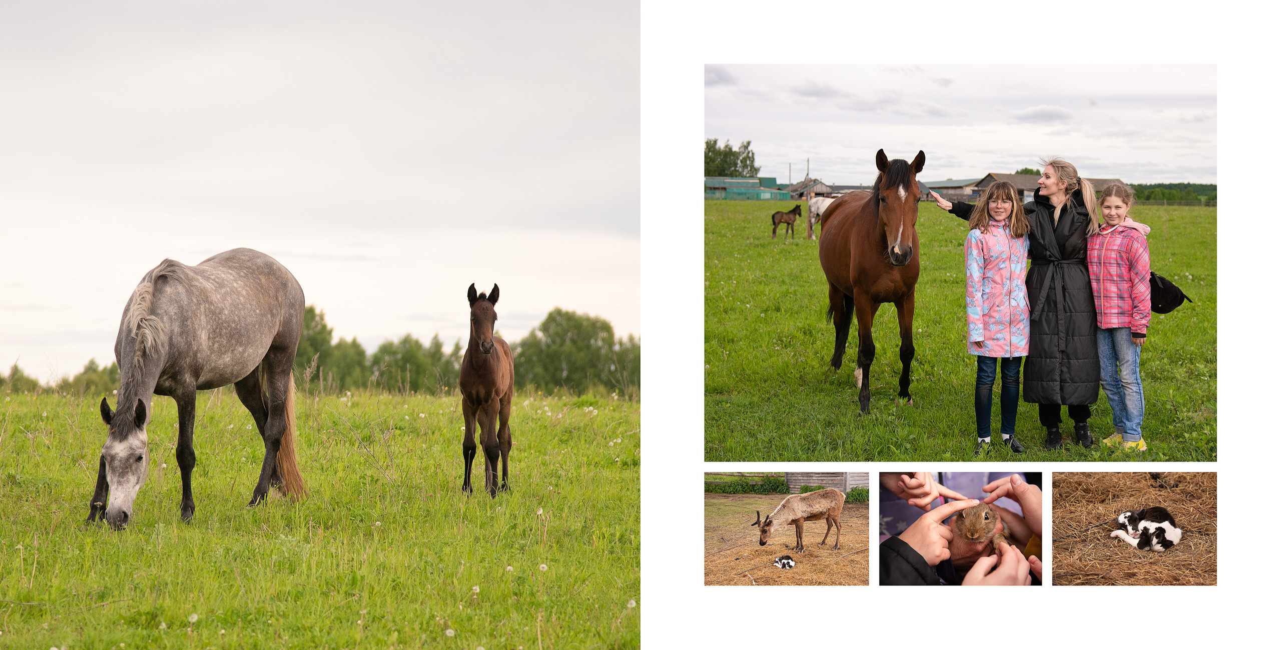 Уникальный подарок -  фотокнига для учителя. Лапшина Юлия — школьный фотограф в Нижнем Новгороде. Выпускные альбомы