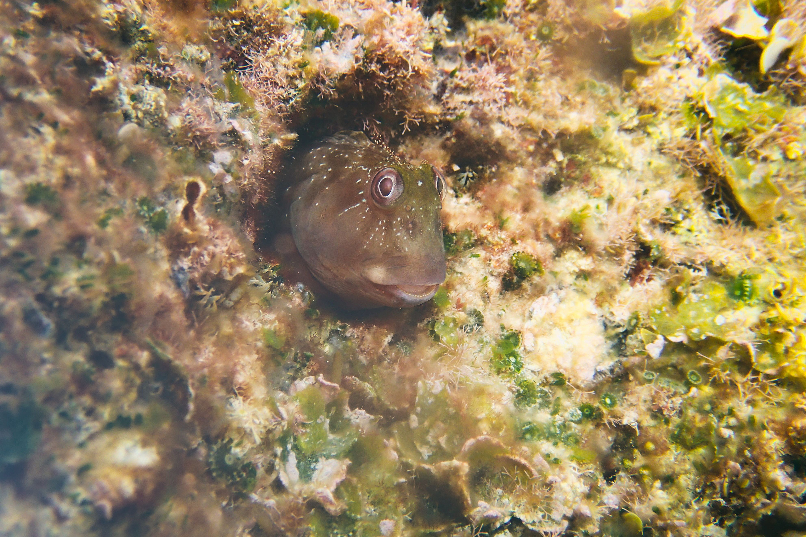 Испания. Свадебный фотограф Копков Геннадий