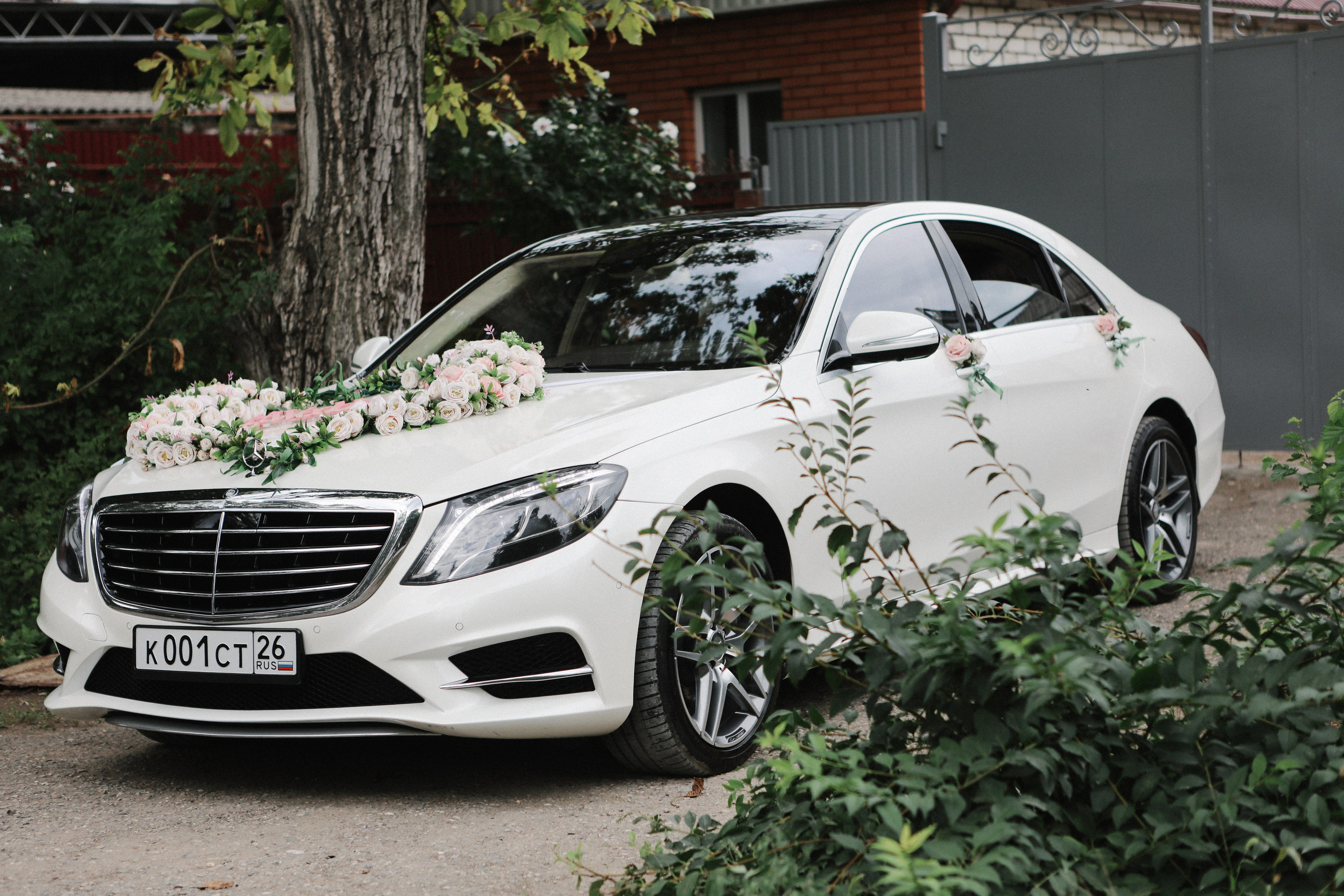 Эдуард и Елизавета. Свадебный и портретный фотограф в Пятигорске, КМВ — Власова Юля