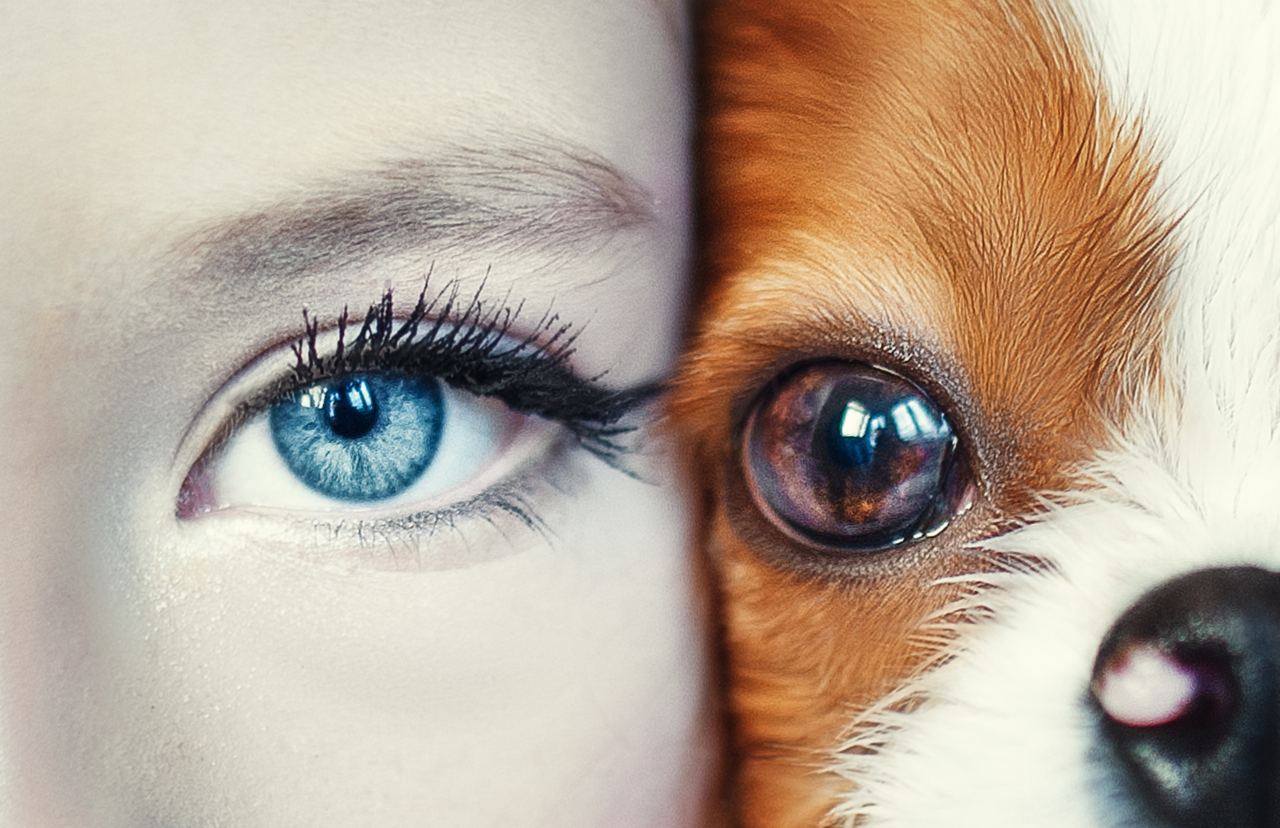 Студия груминга Валерии Кравец