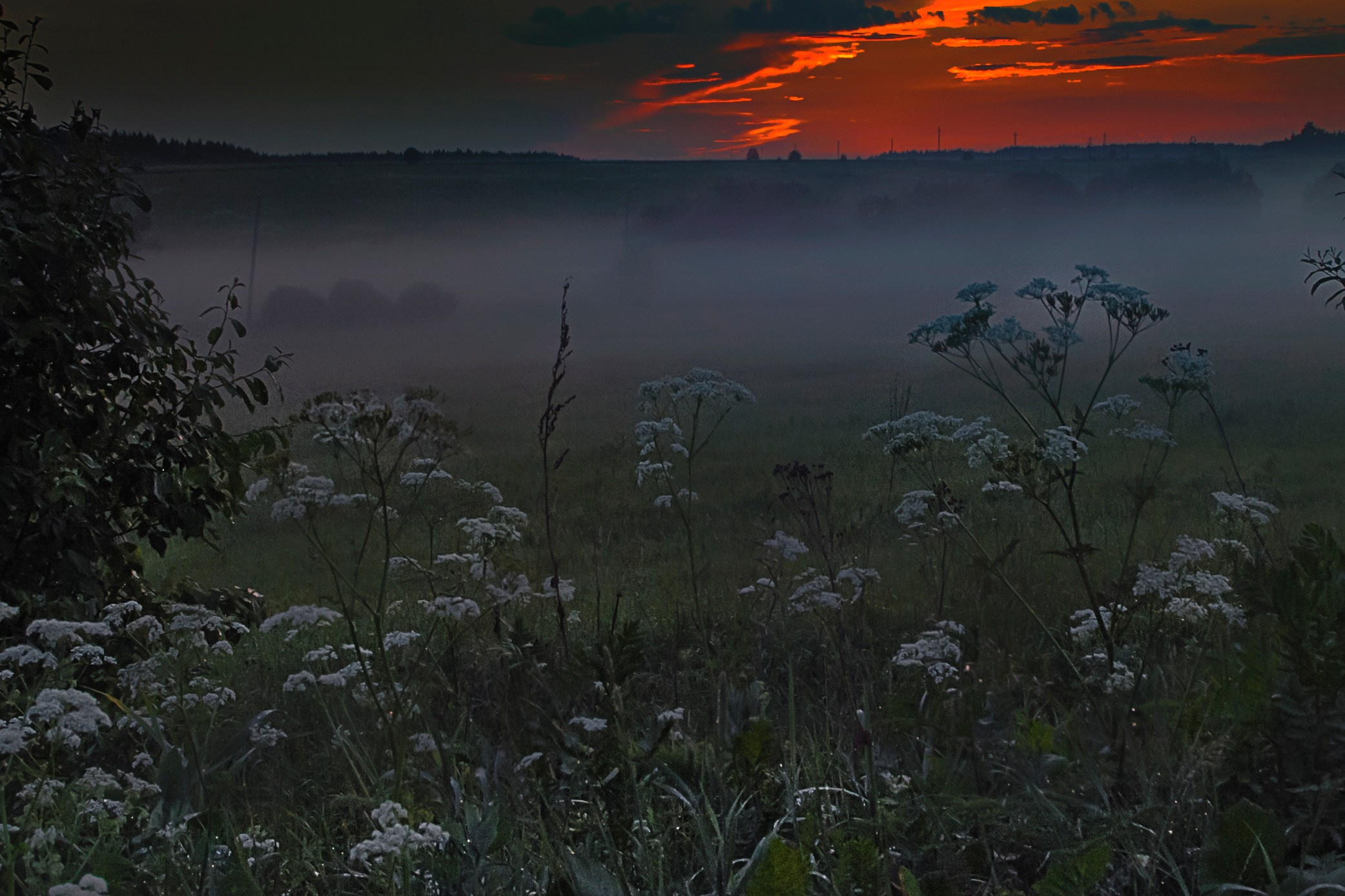 Цвет как объект. Свадьбы, портретная, предметная съемка. Фотограф Александр К