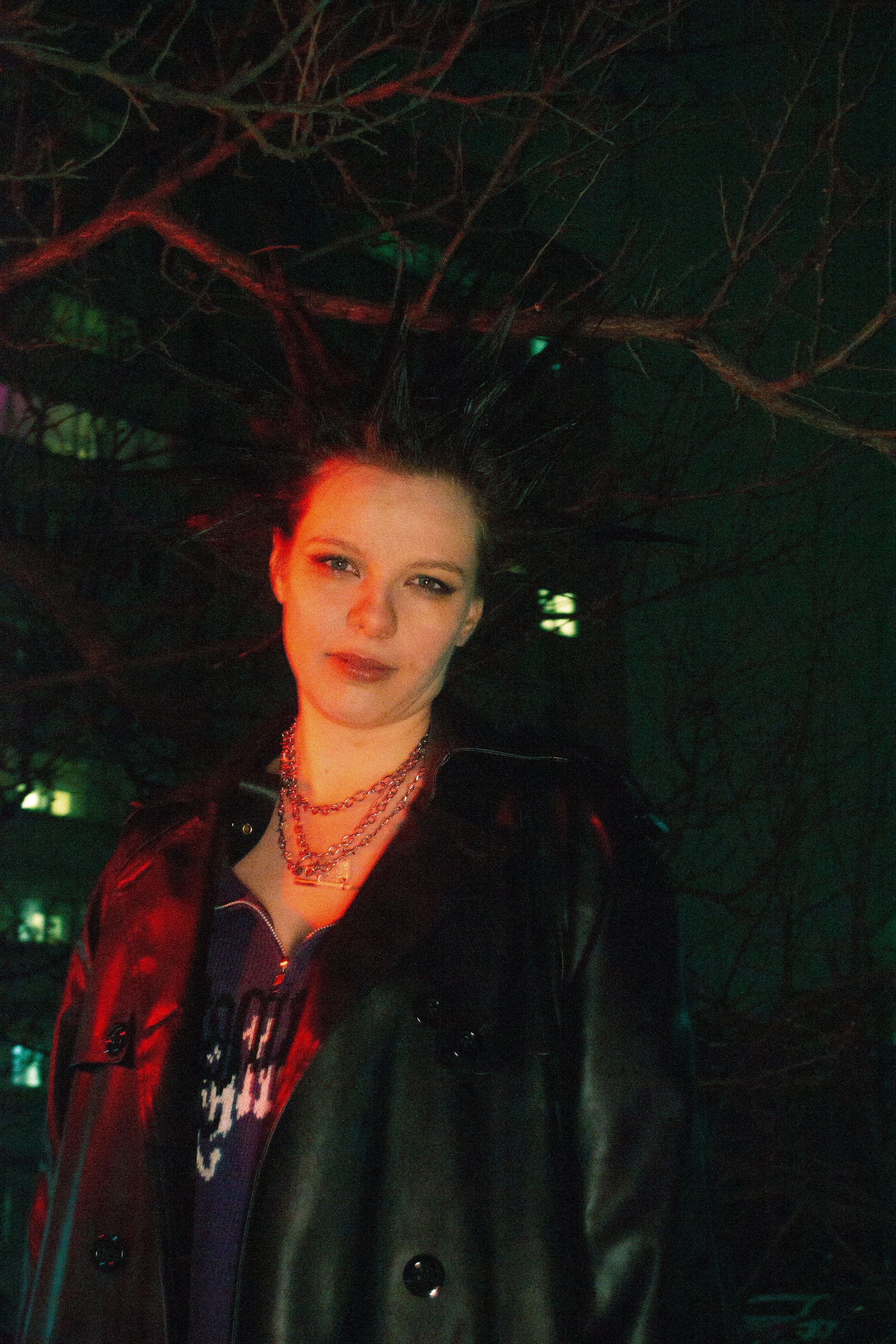 Гошок жив?. Костенко Анна pdie