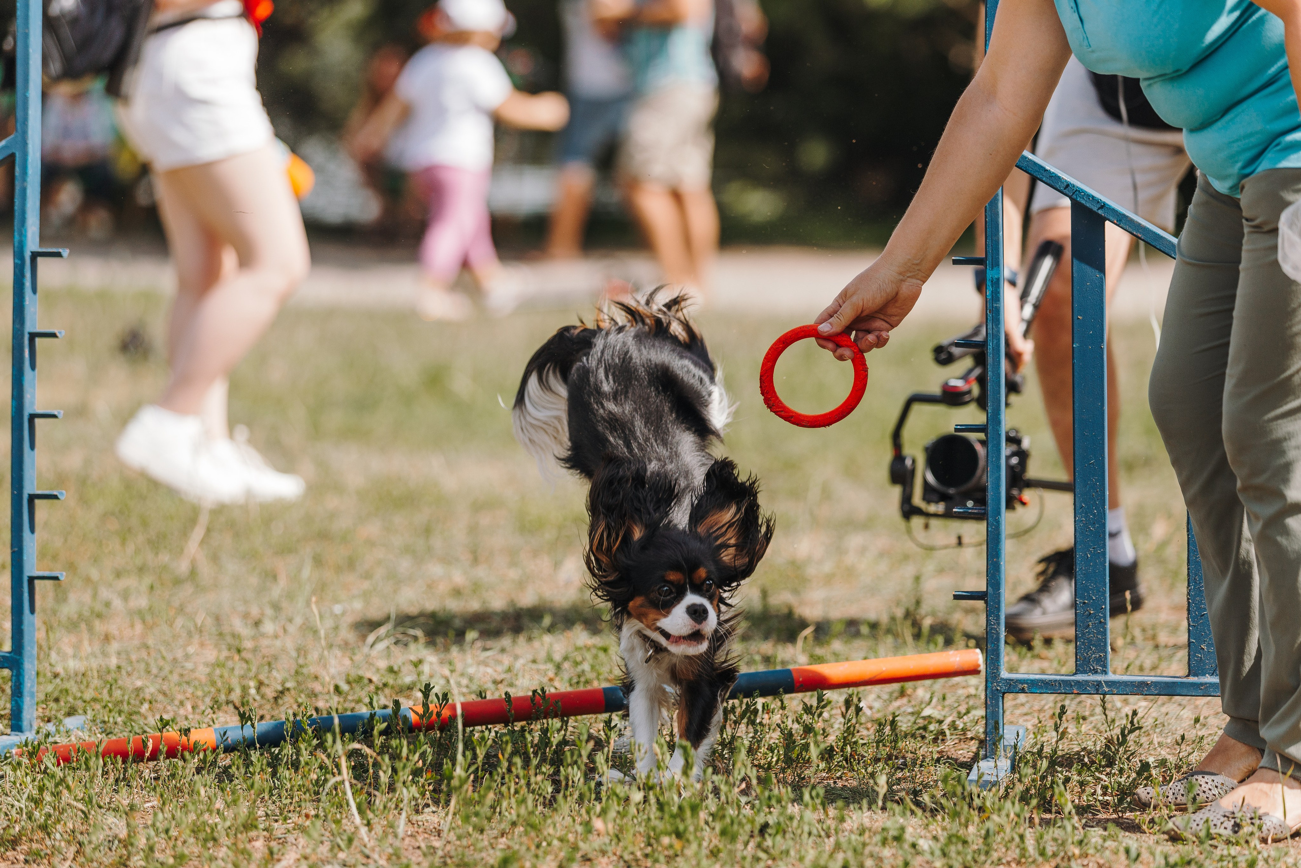 Petshop Sup day. Фотограф анималист Кристина Карпова, Москва