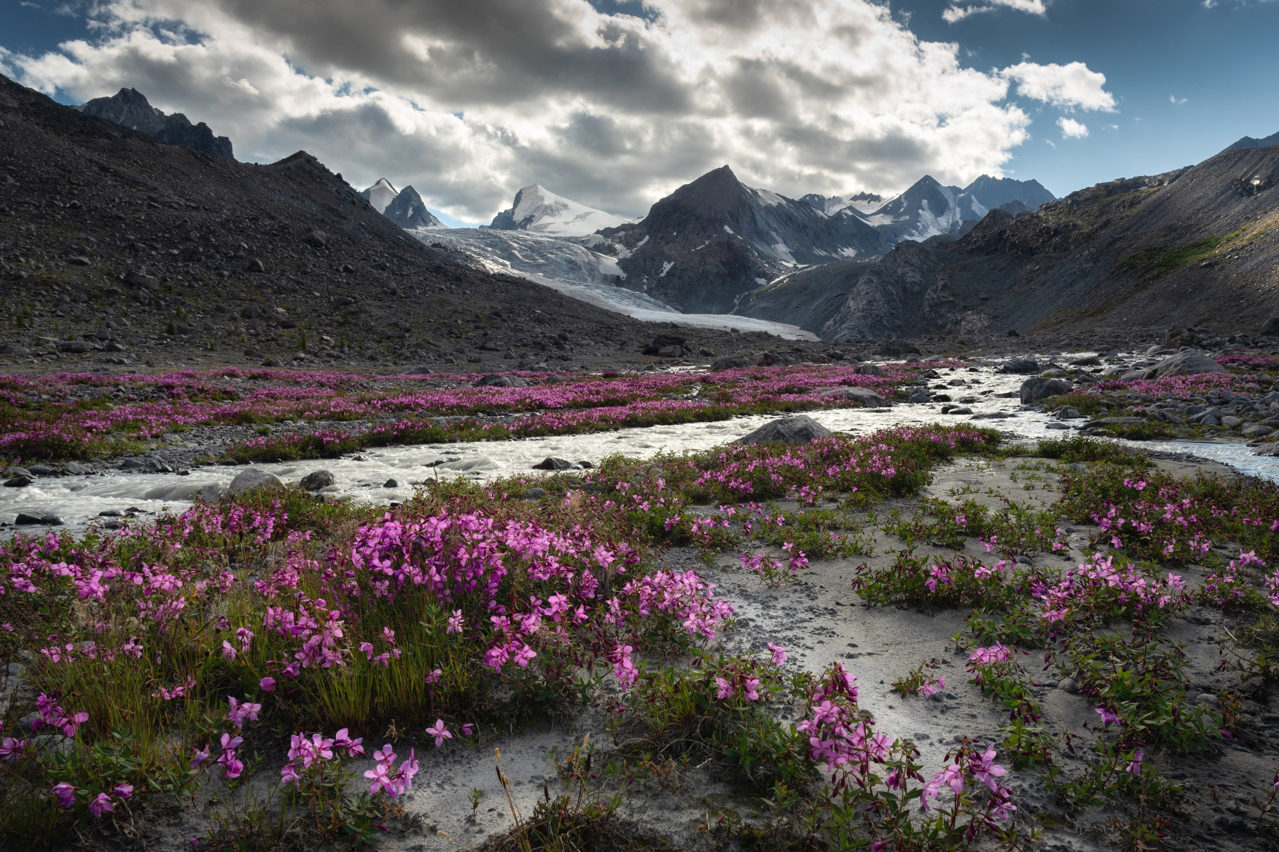 Фототур «Летнее высокогорье Алтая». Профессиональный пейзажный фотограф Алёна Рубан