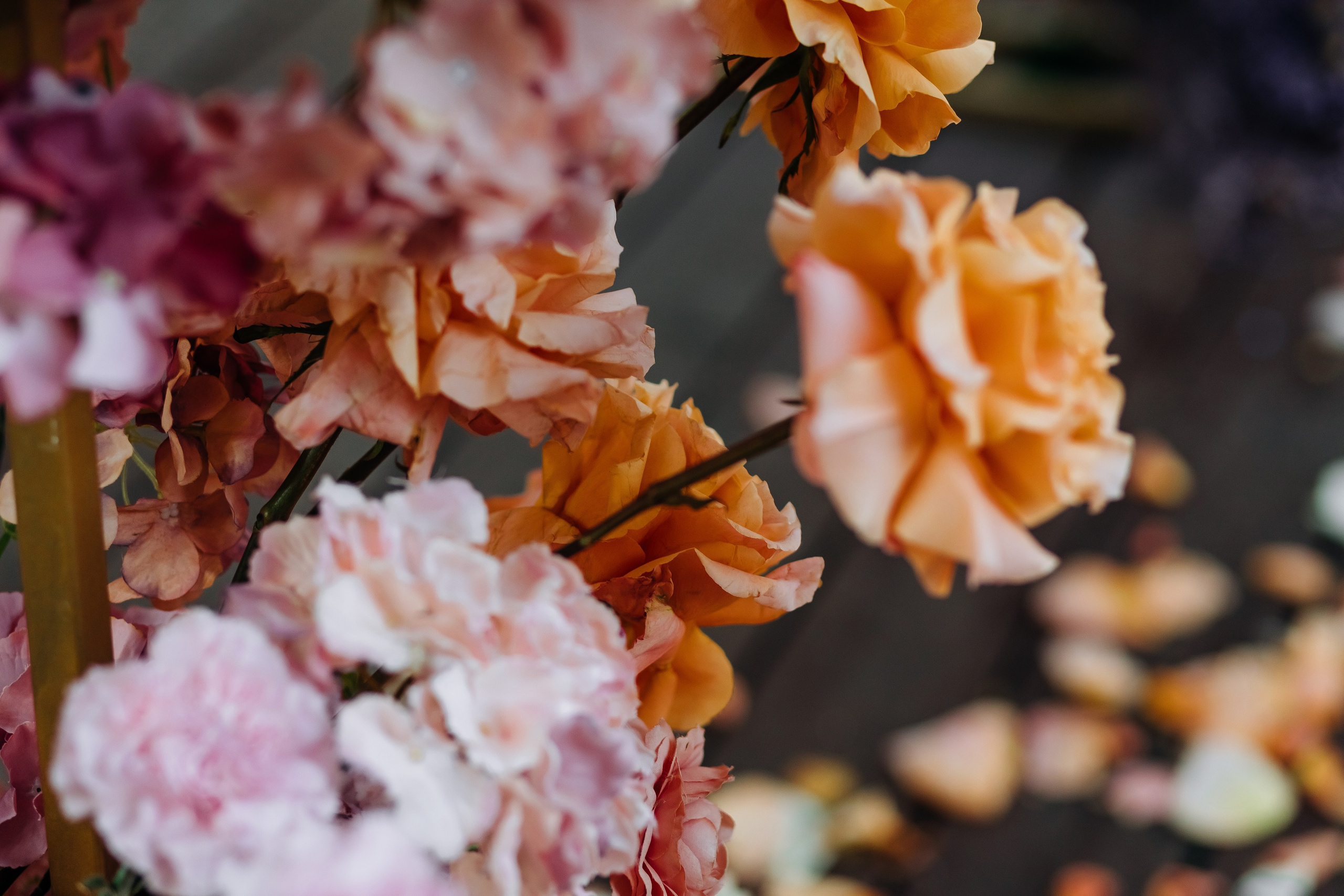 Артем и Анастасия. СВАДЕБНЫЙ ФОТОГРАФ МОСКВА